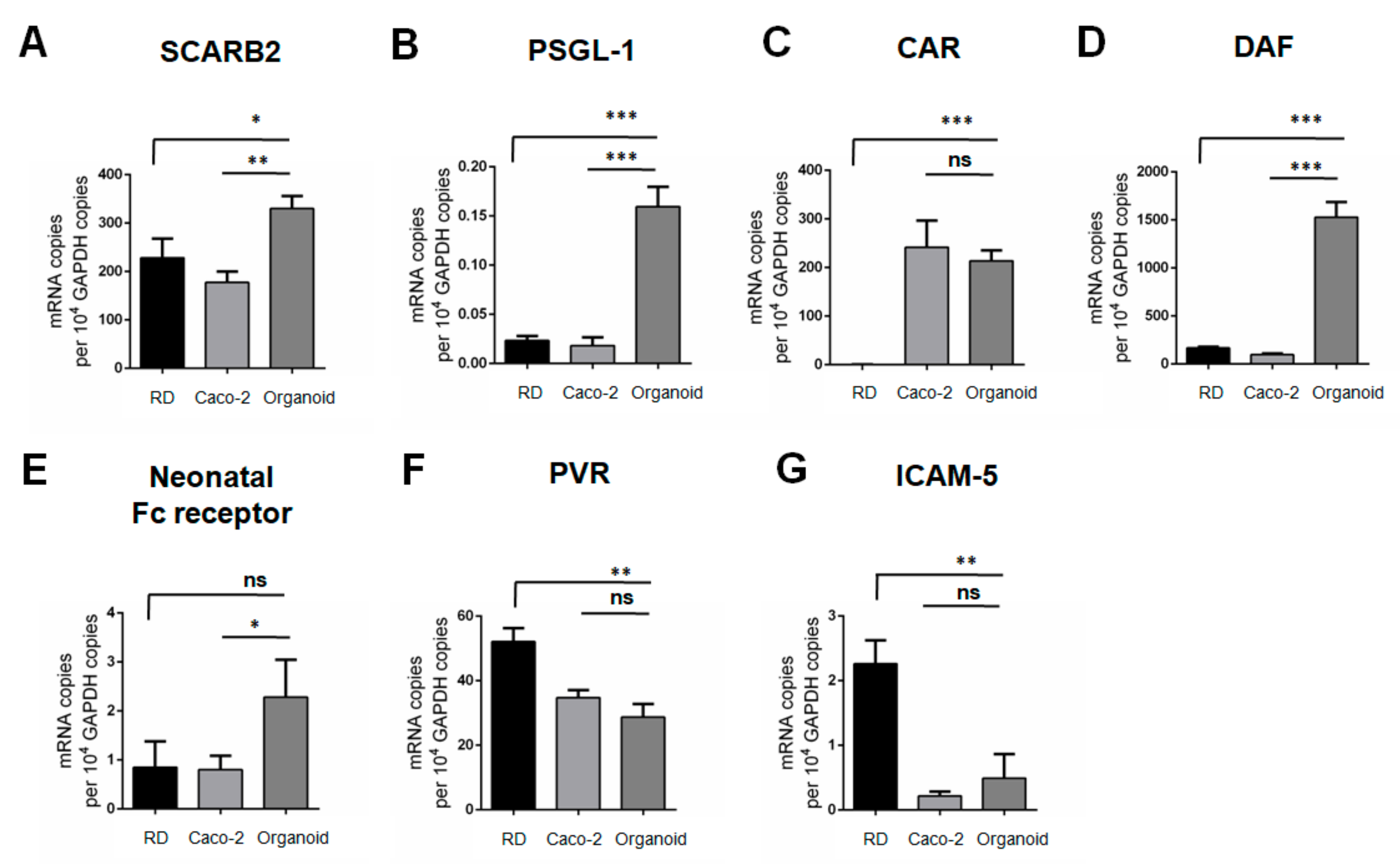 Biomedicines 09 00088 g003
