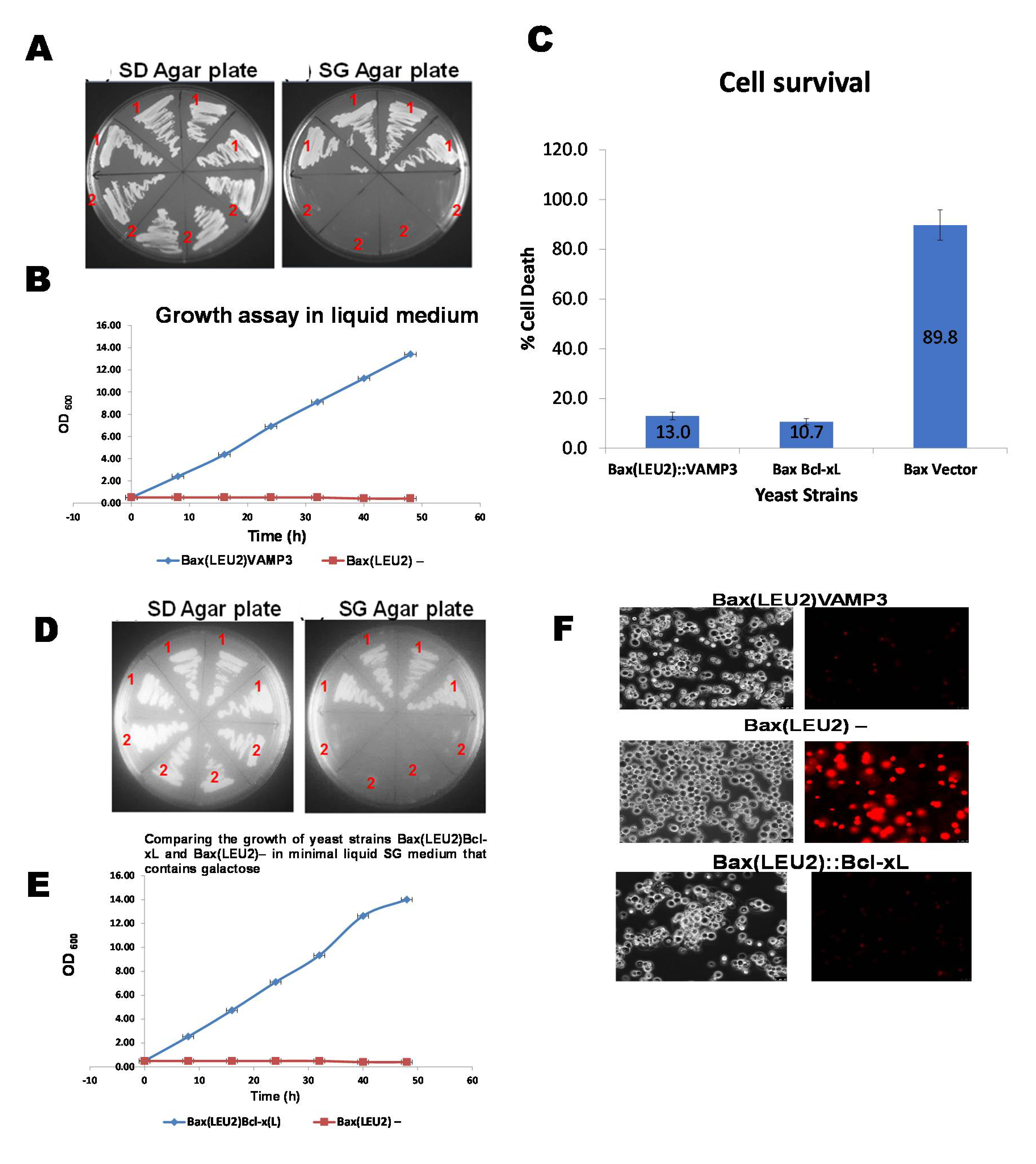 Biomedicines 09 00095 g001