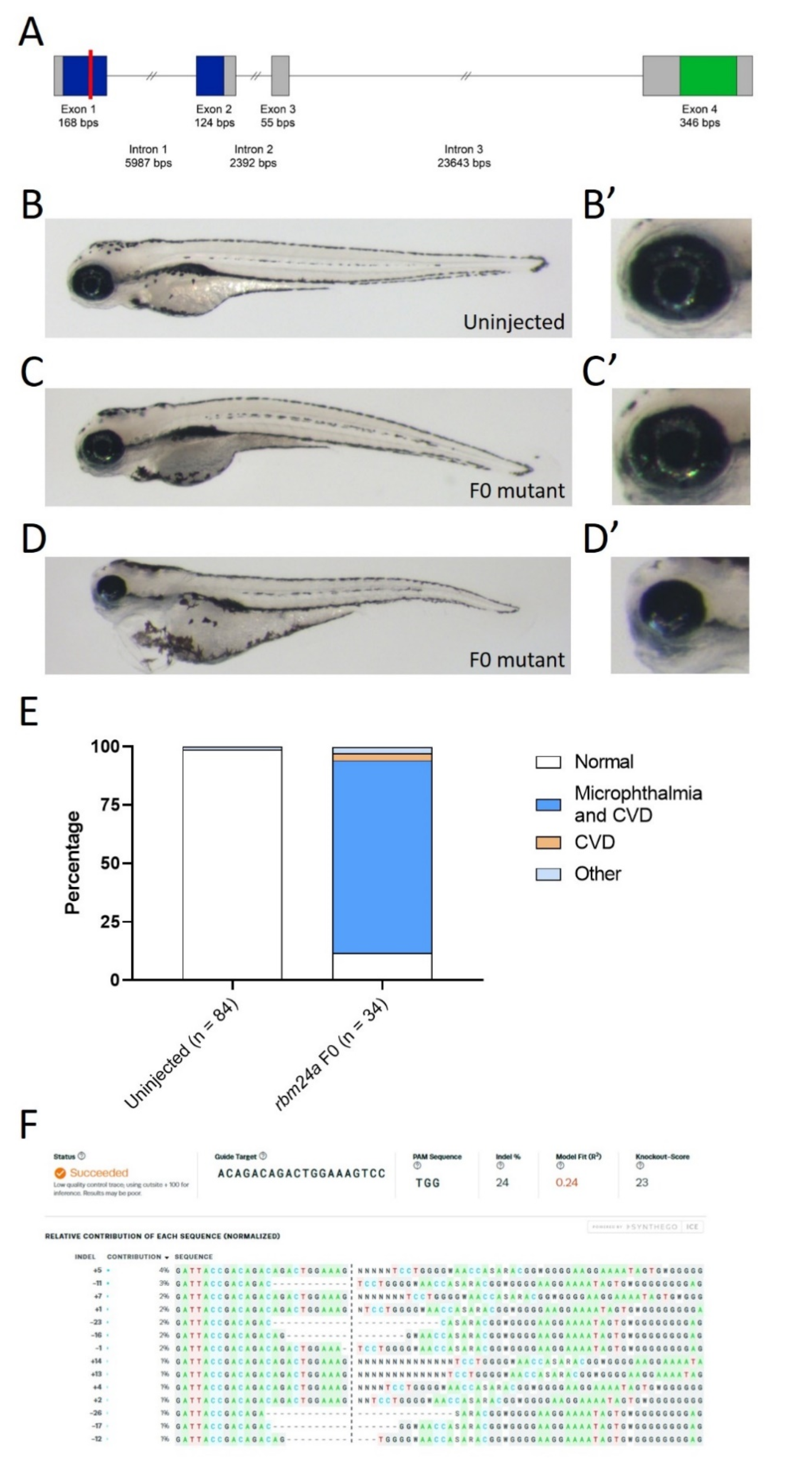 Biomedicines 09 00100 g001