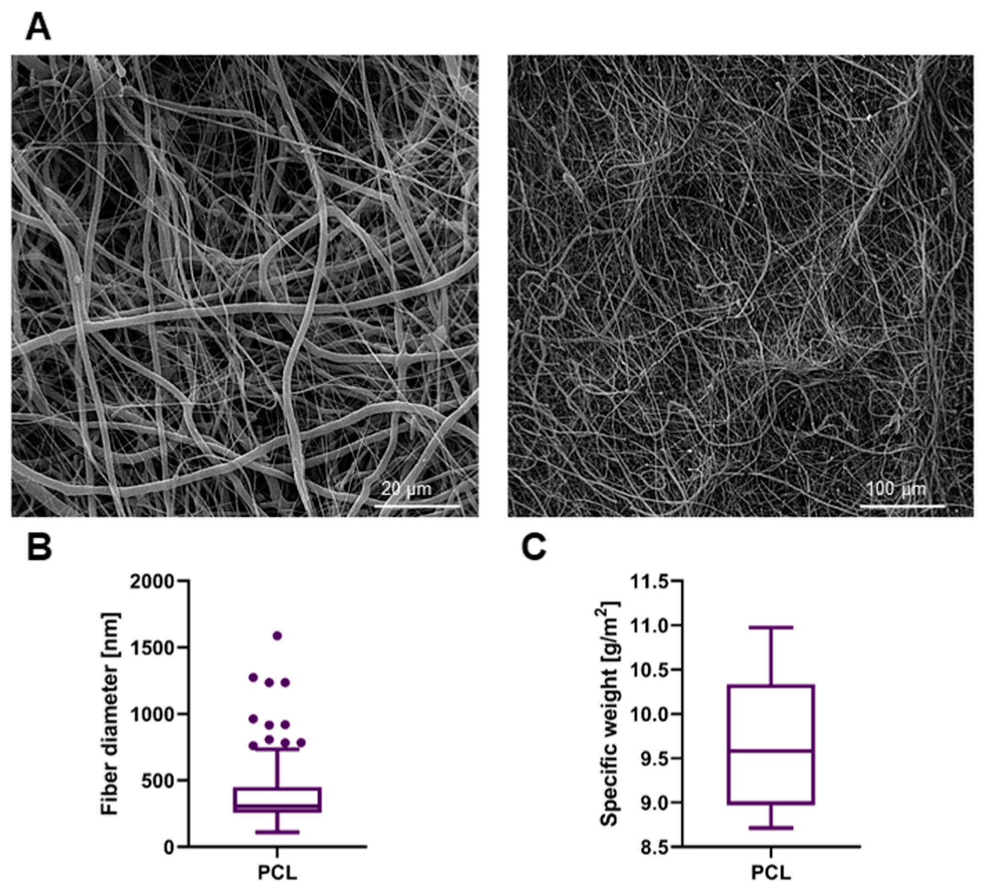 Biomedicines 09 00102 g002