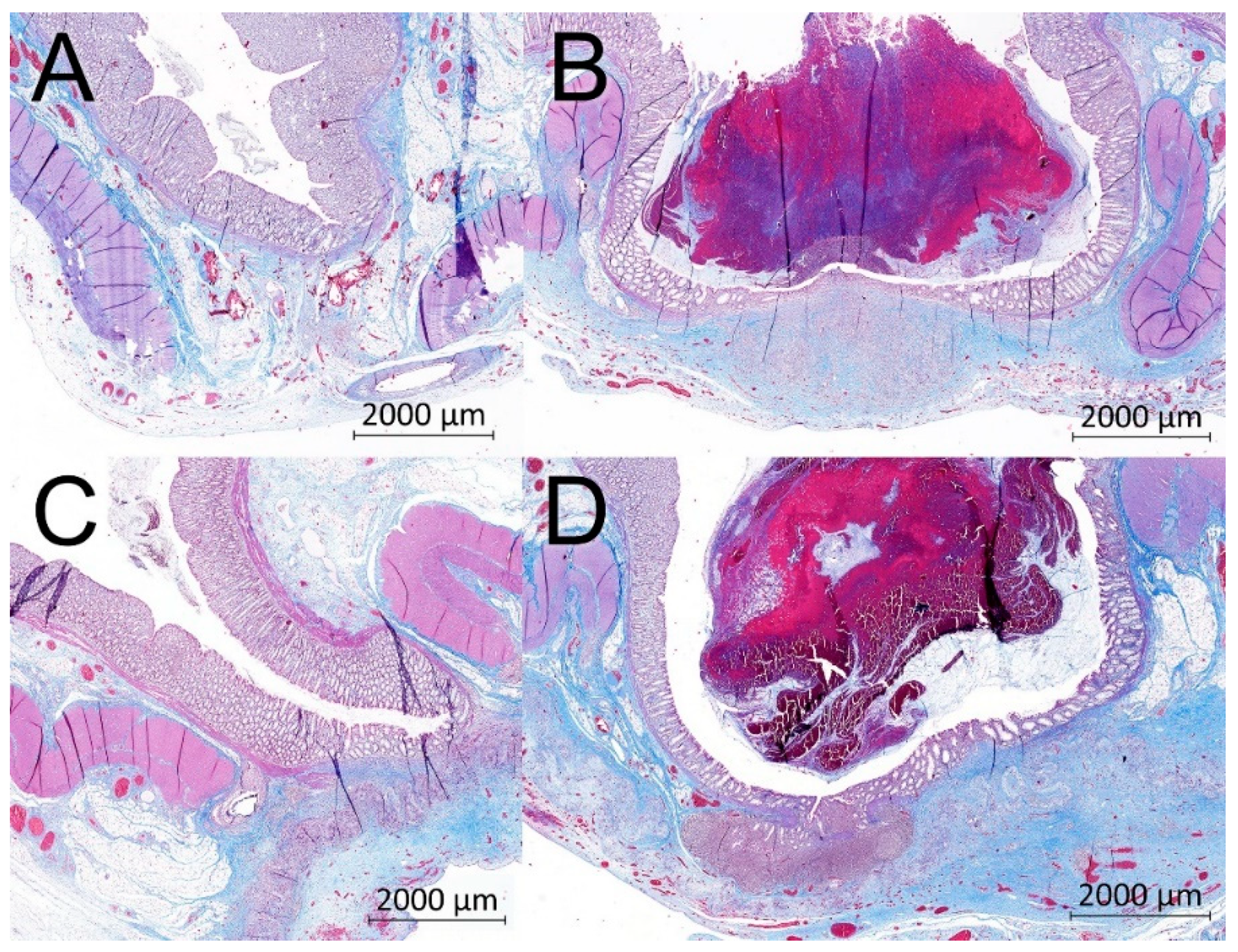 Biomedicines 09 00102 g008