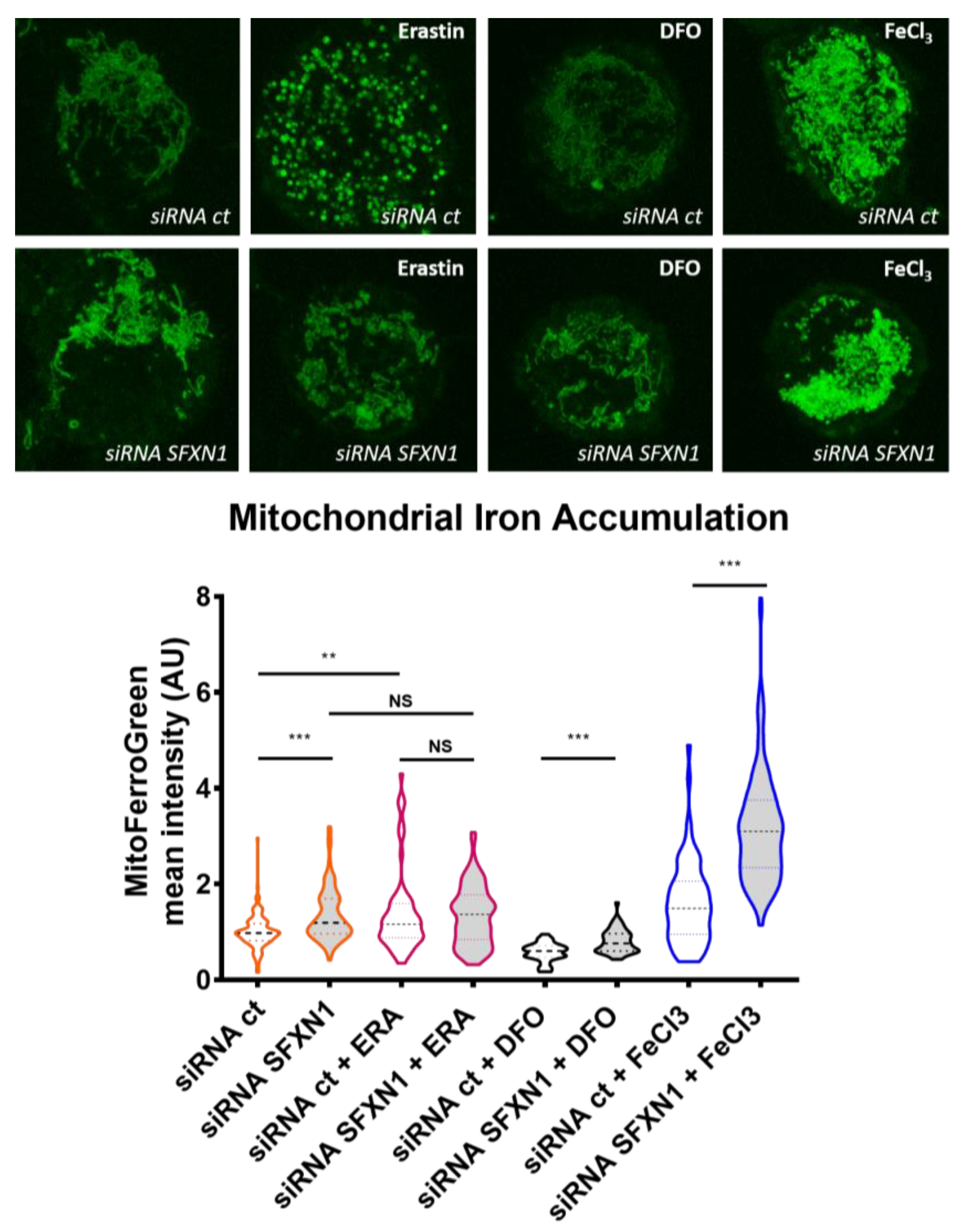Biomedicines 09 00103 g005