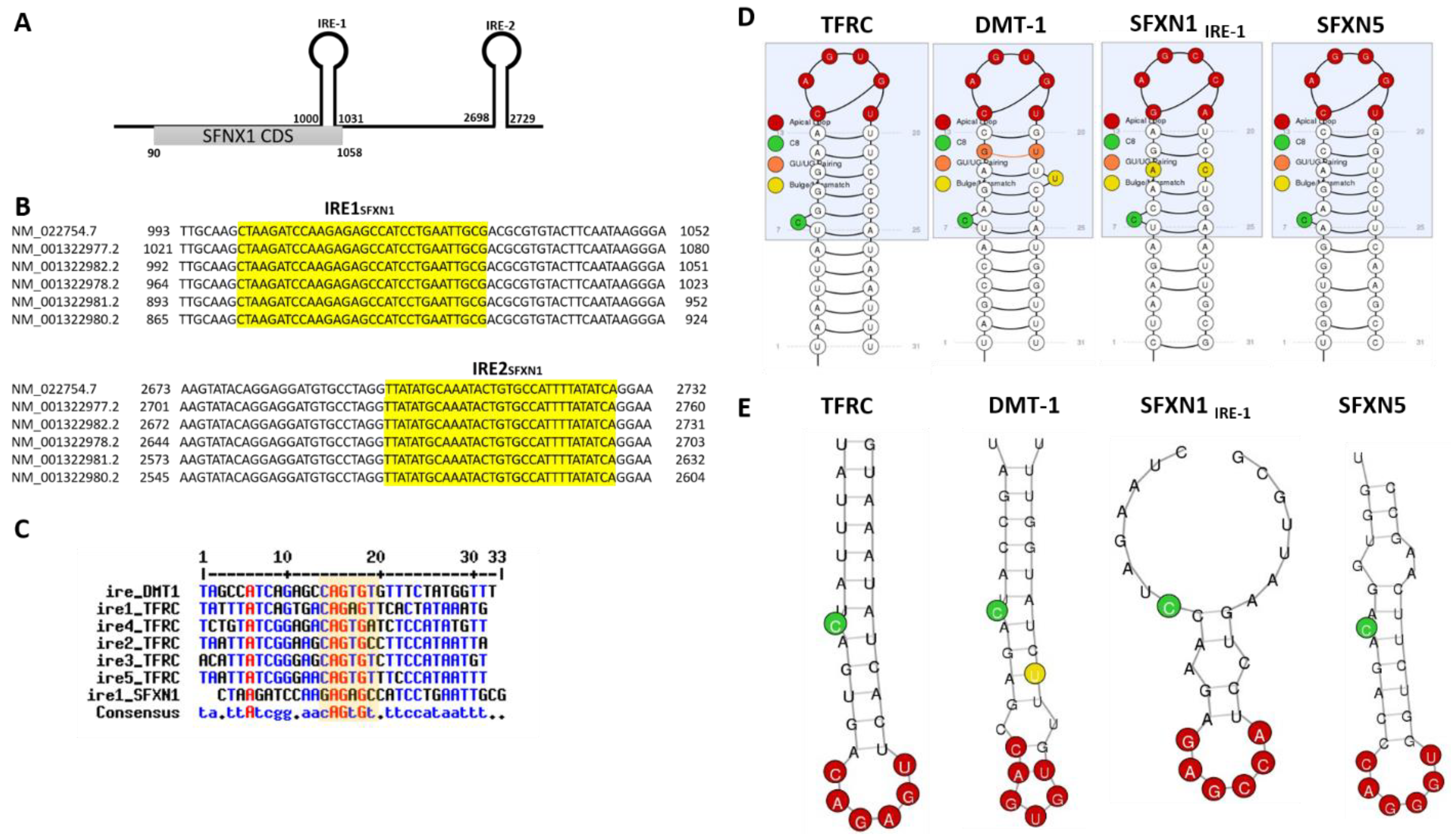 Biomedicines 09 00103 g008