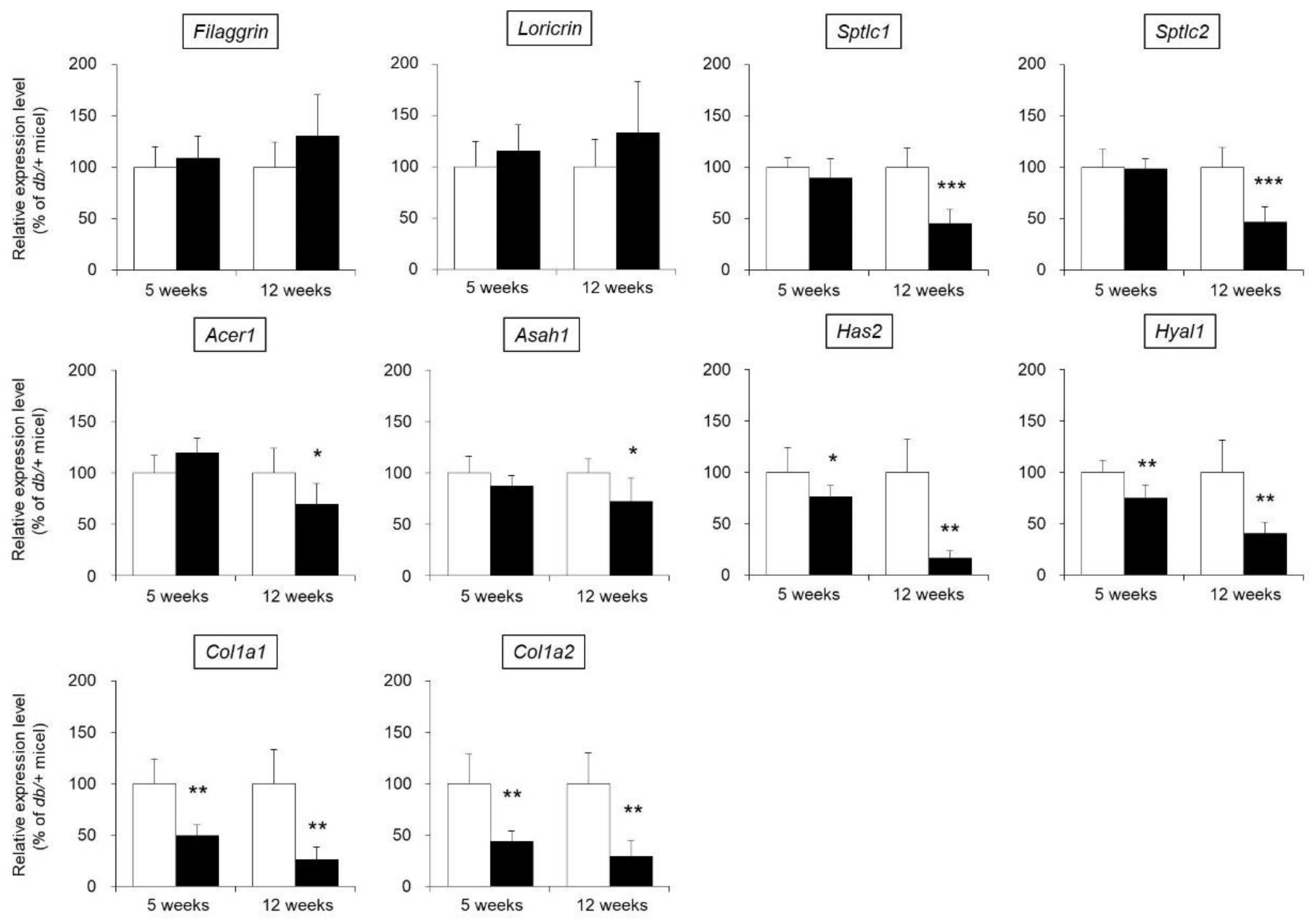 Biomedicines 09 00104 g003