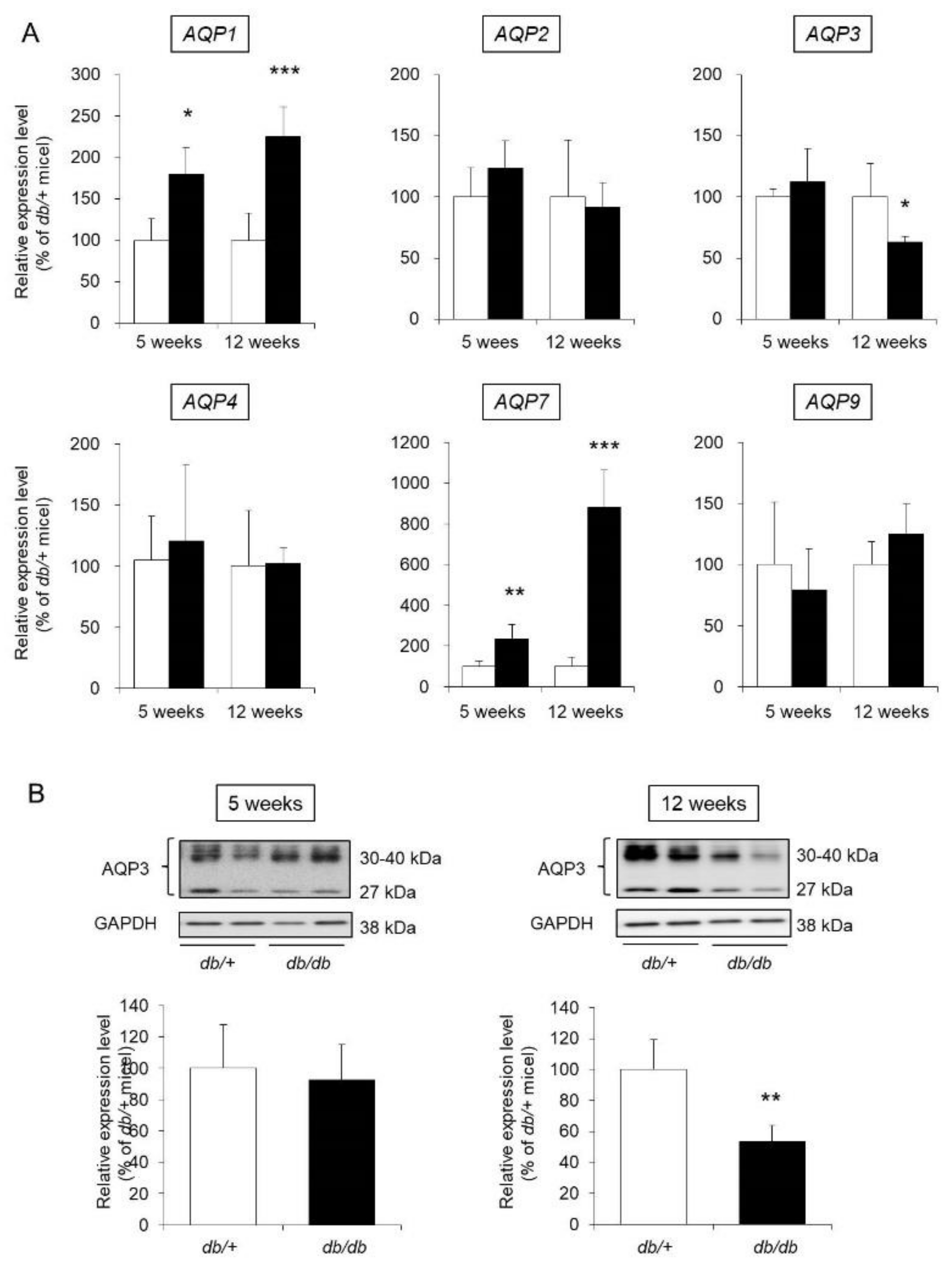 Biomedicines 09 00104 g004