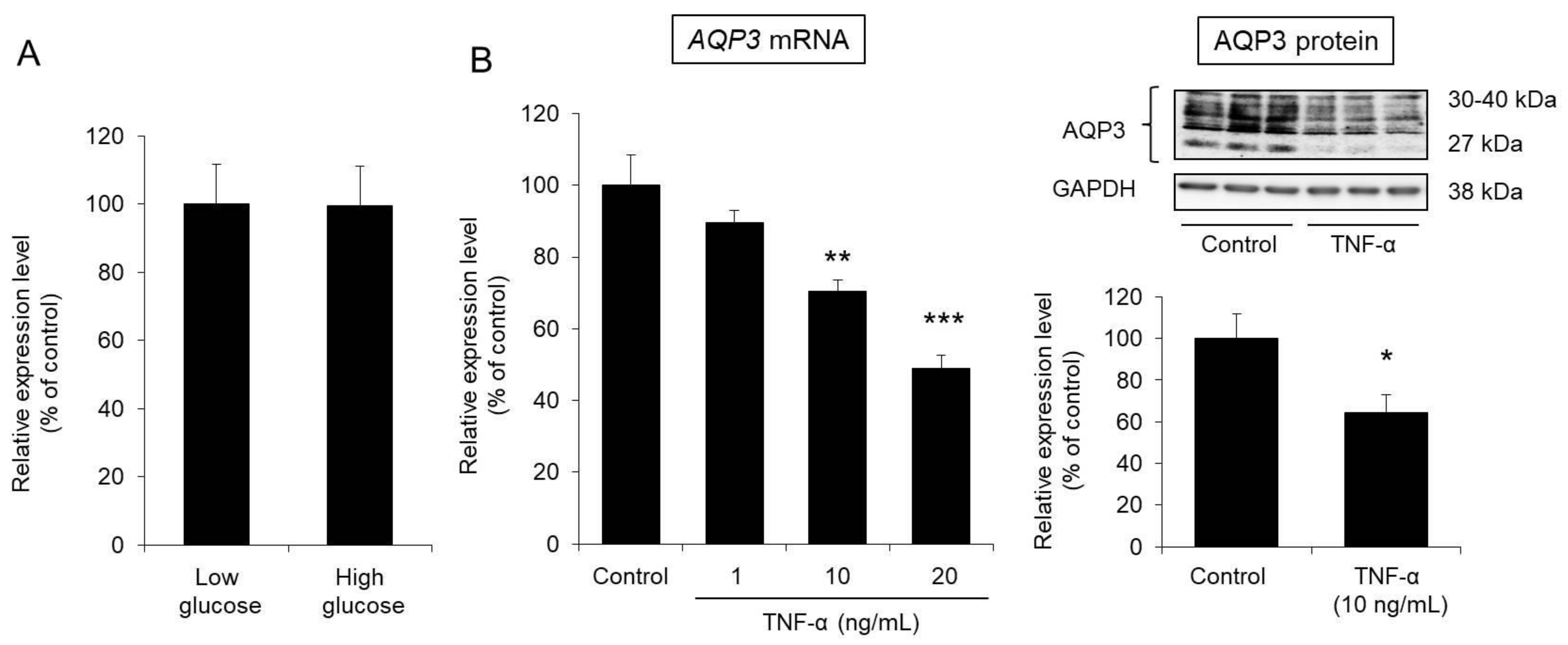 Biomedicines 09 00104 g005
