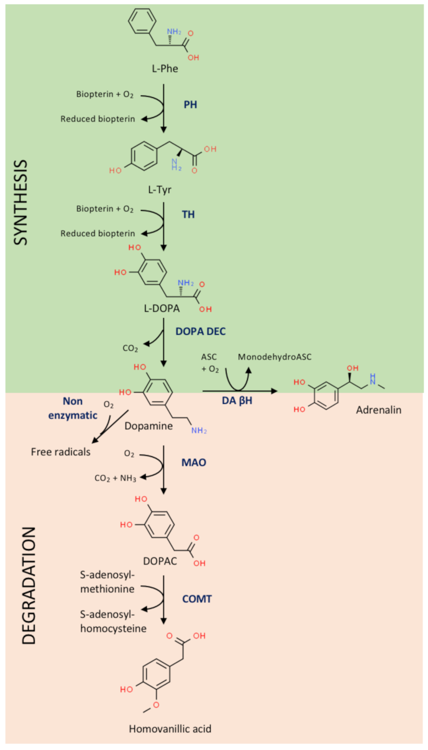 Biomedicines 09 00109 g001