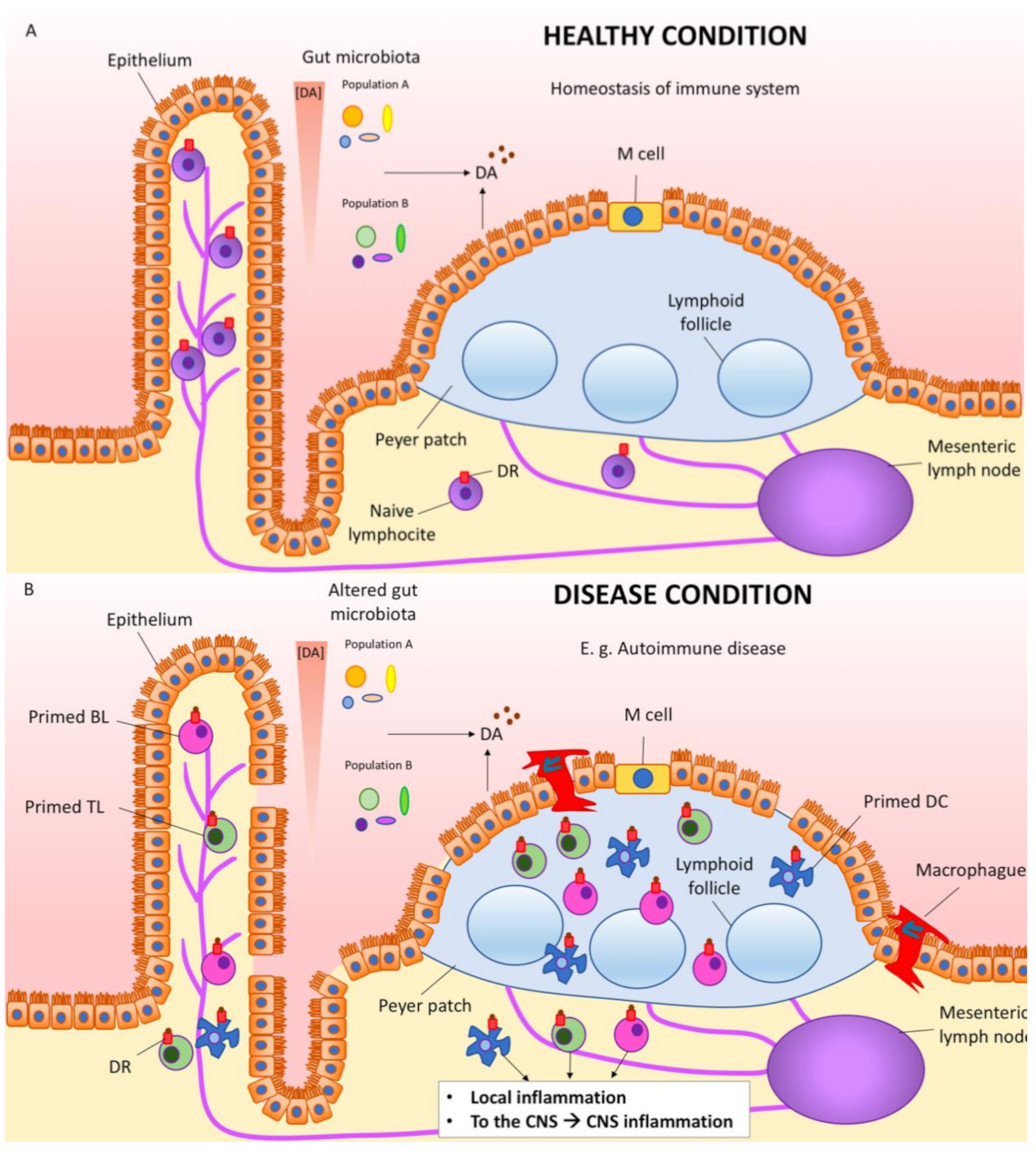 Biomedicines 09 00109 g002