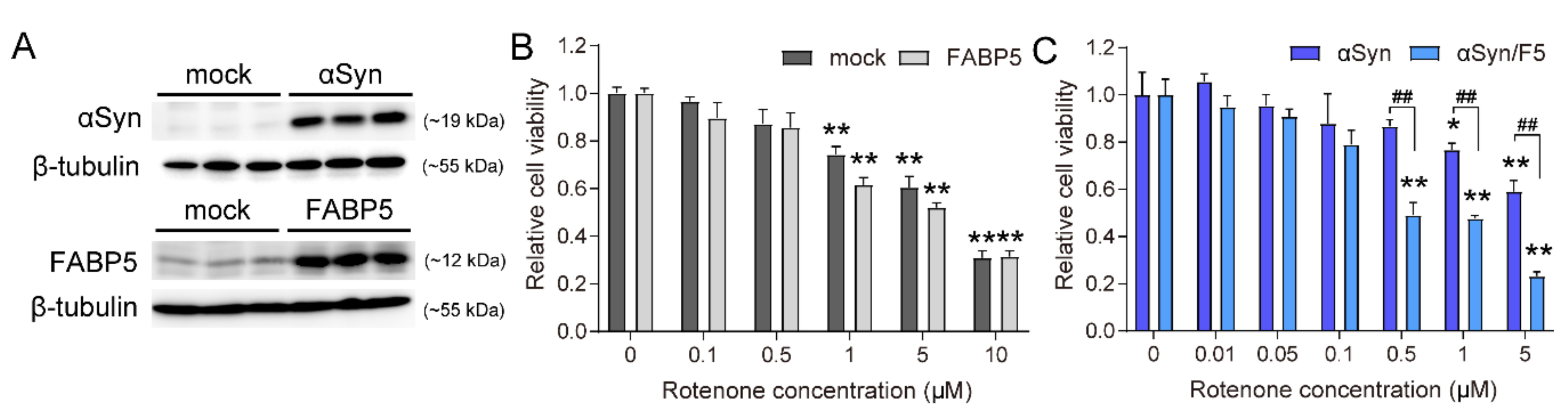 Biomedicines 09 00110 g001
