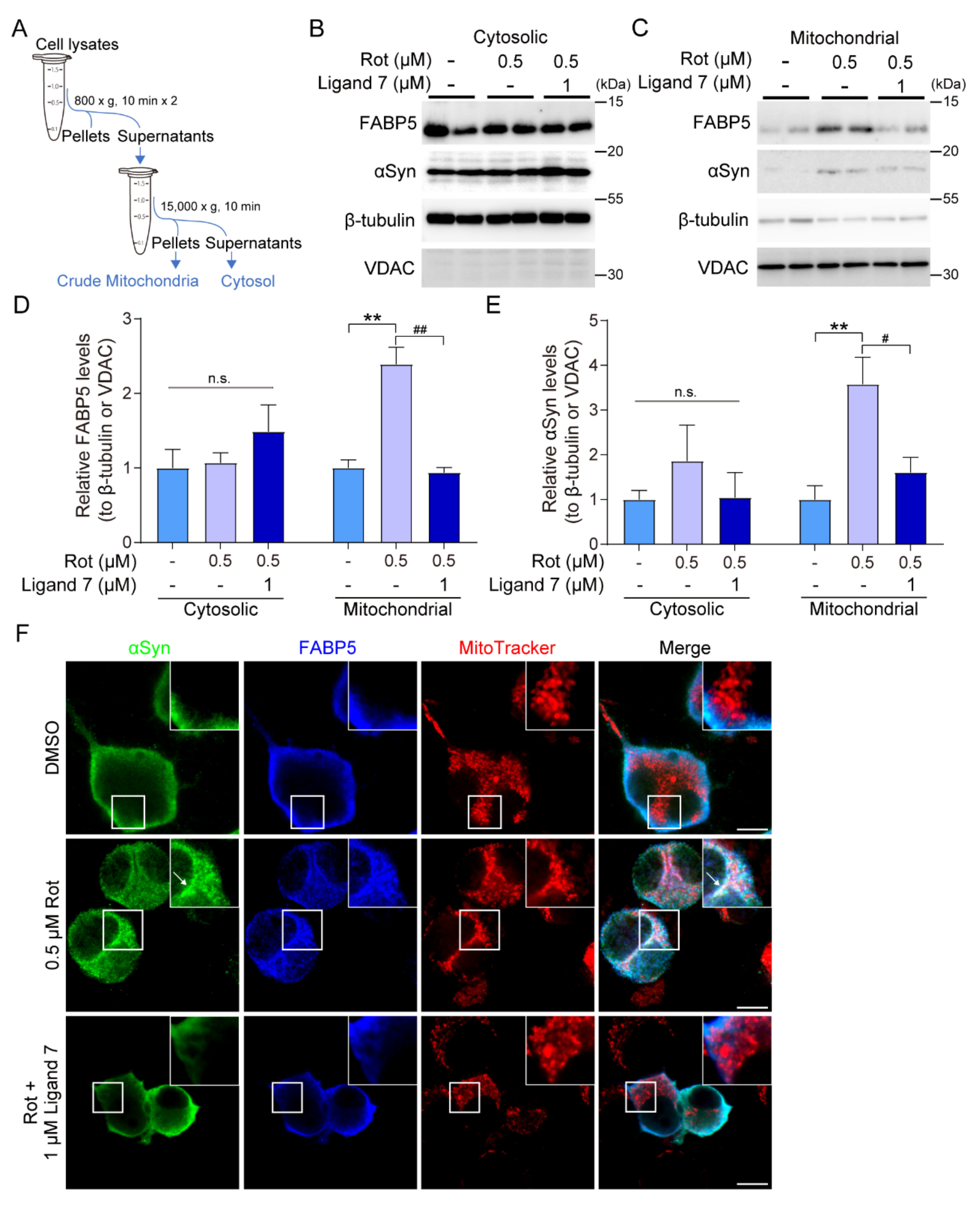 Biomedicines 09 00110 g006