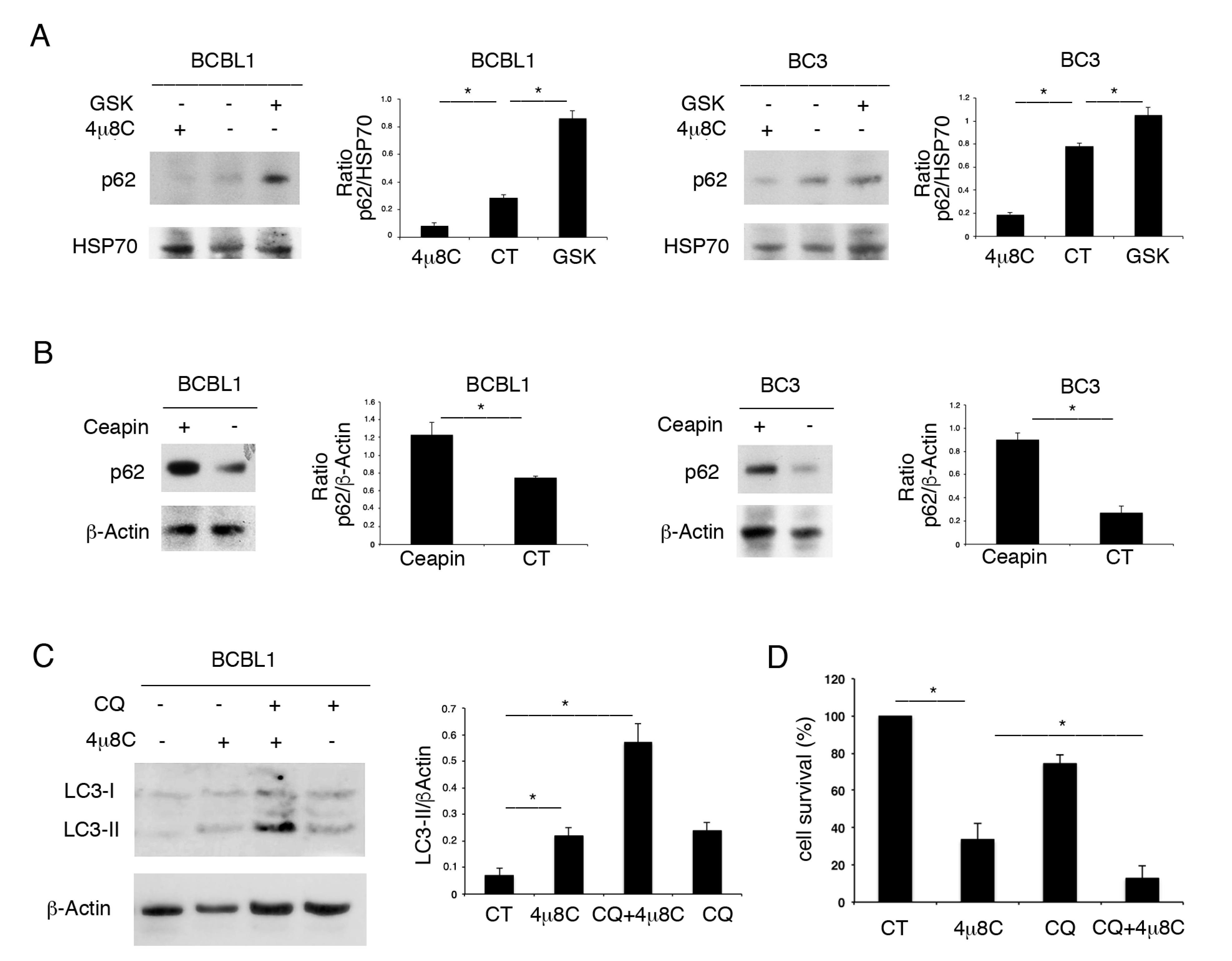 Biomedicines 09 00118 g003 Biomedicines 09 00118 g003