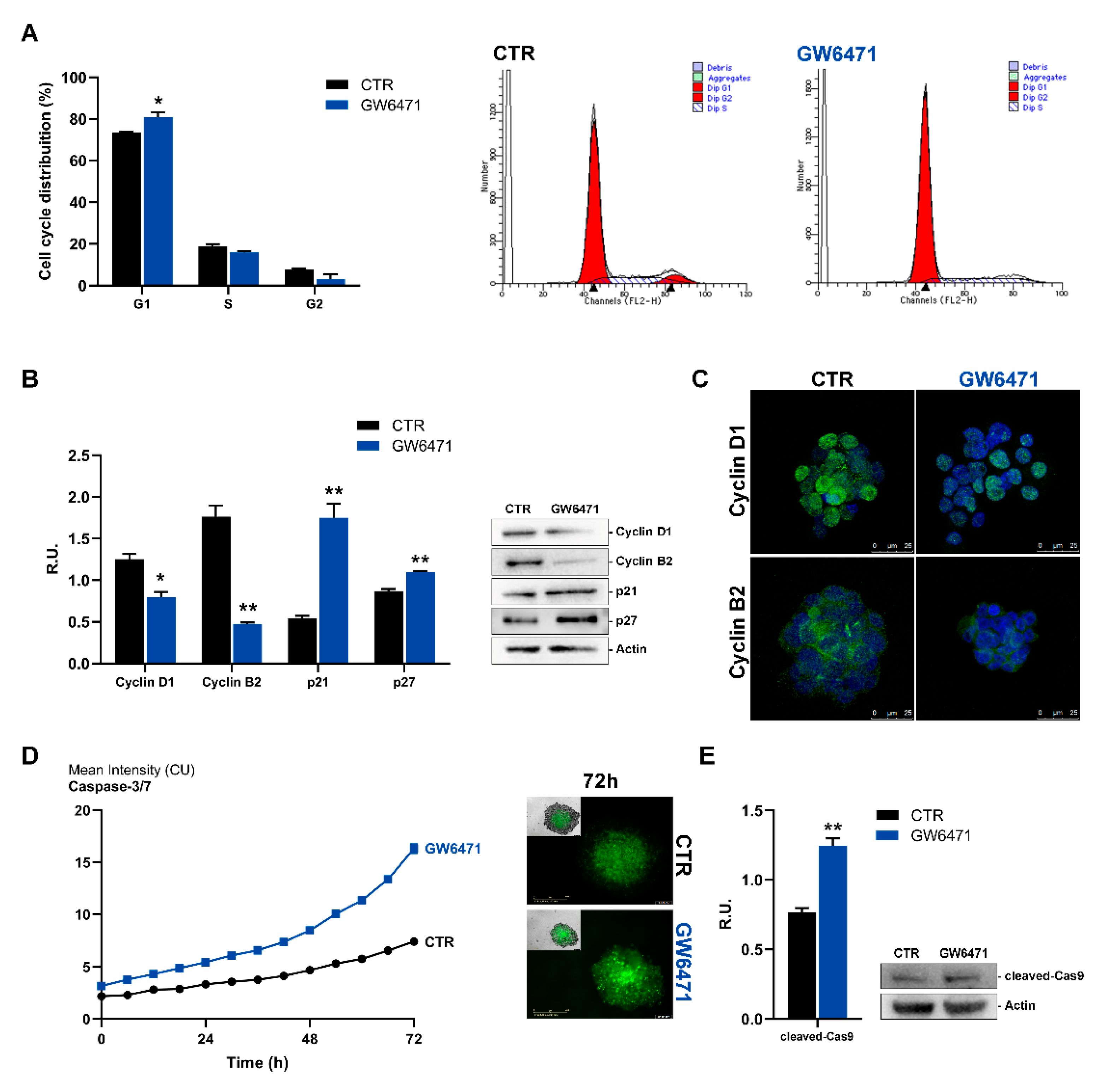 Biomedicines 09 00127 g002