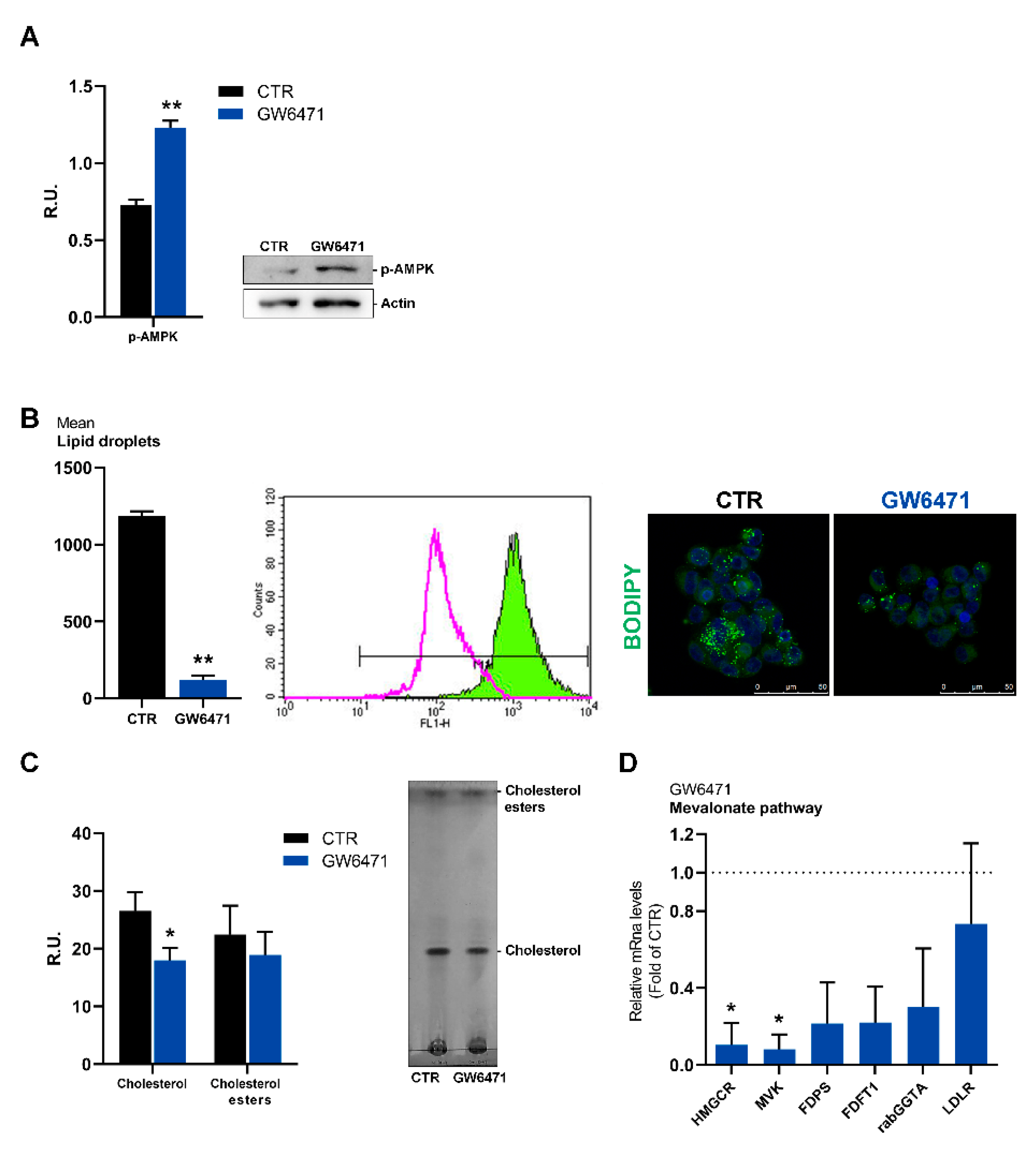 Biomedicines 09 00127 g003