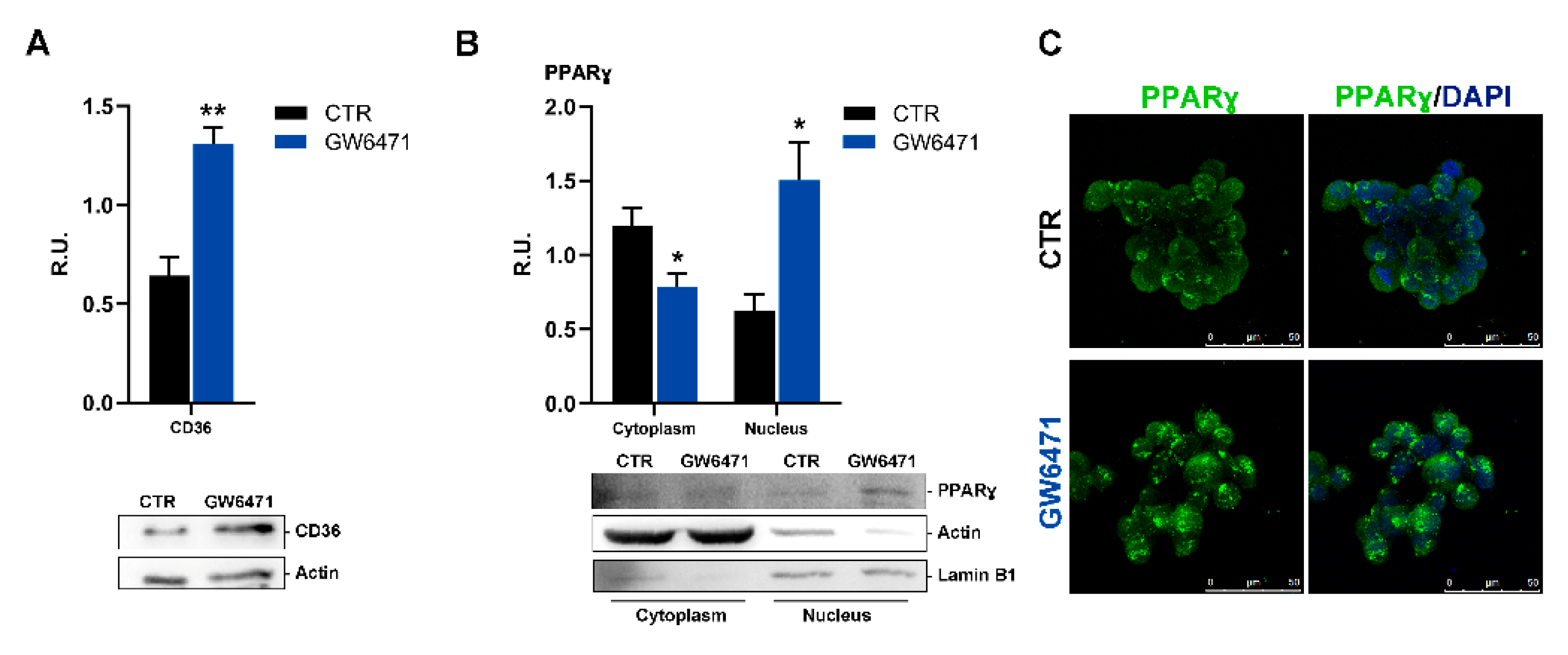 Biomedicines 09 00127 g005