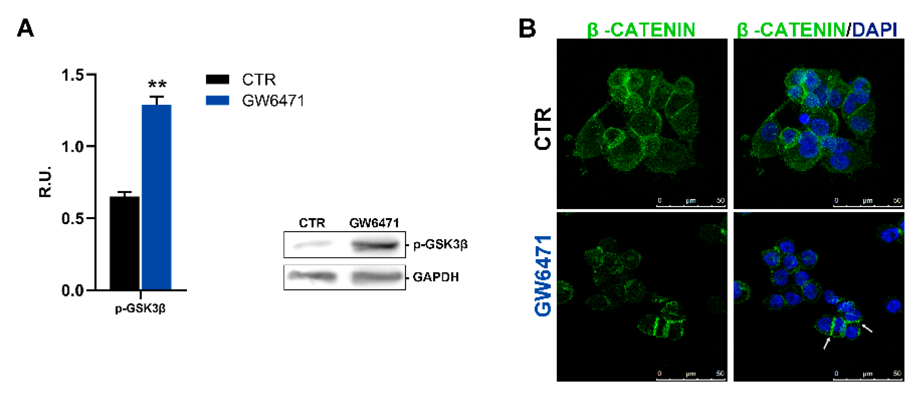Biomedicines 09 00127 g006
