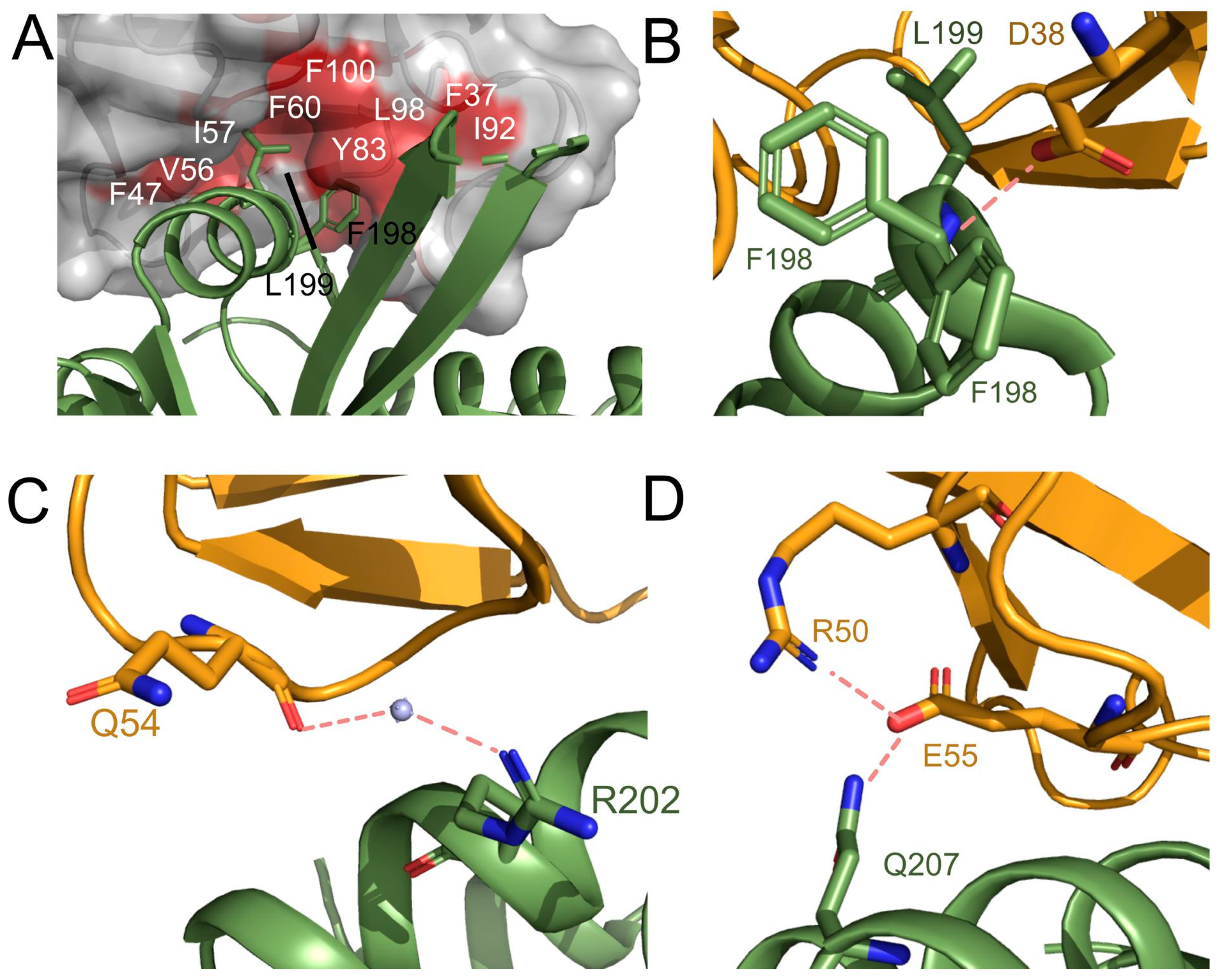 Biomedicines 09 00129 g003