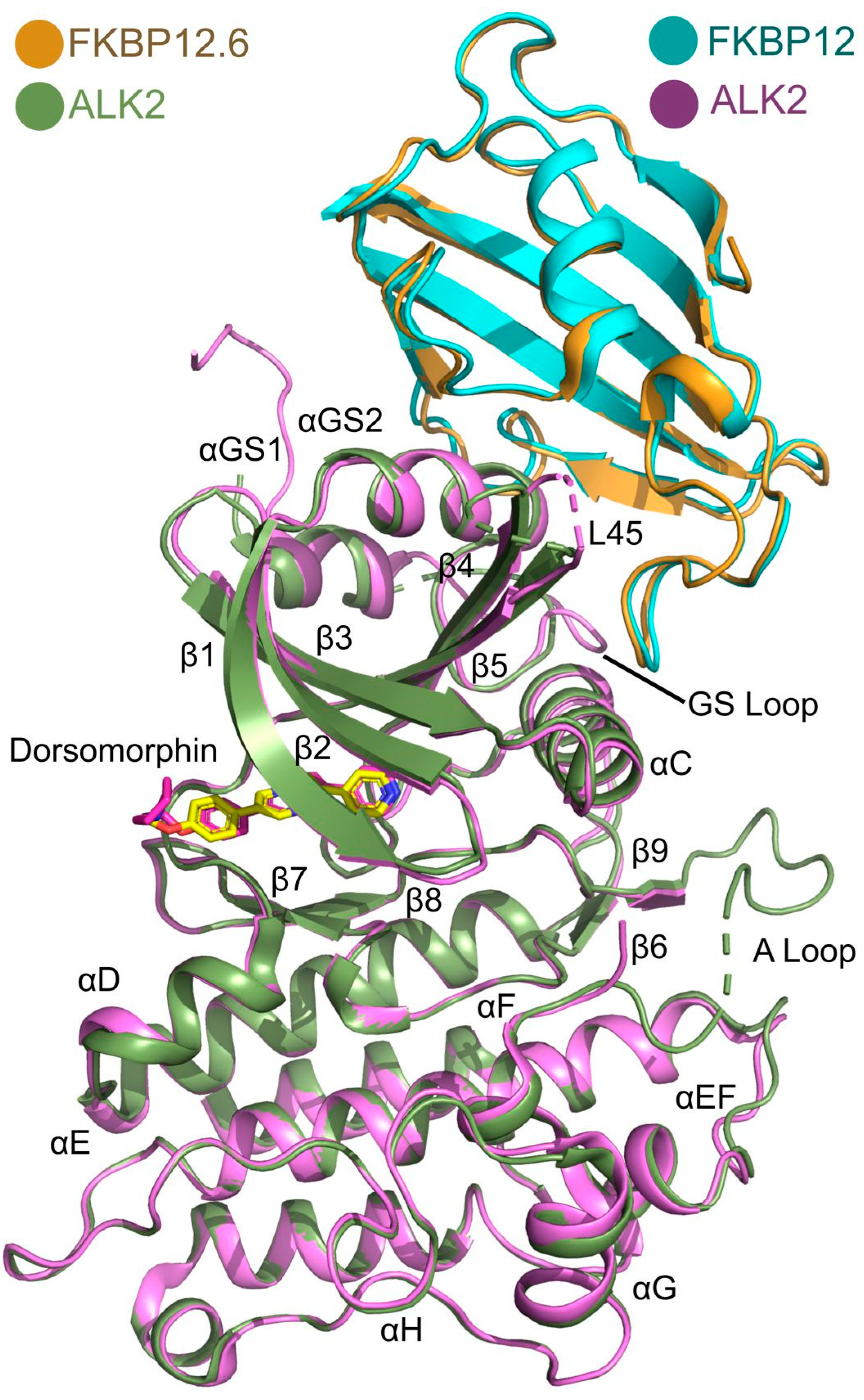 Biomedicines 09 00129 g004