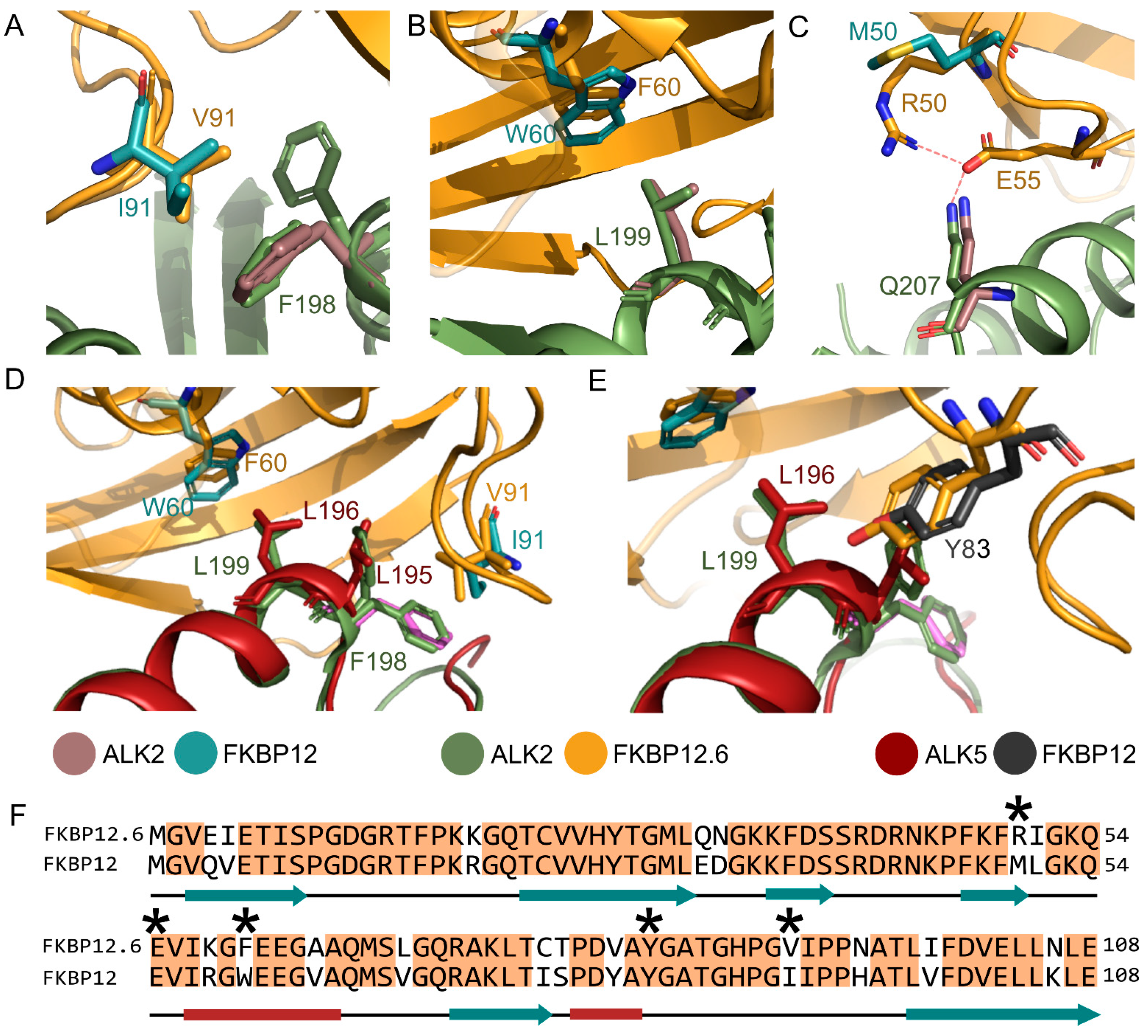 Biomedicines 09 00129 g005