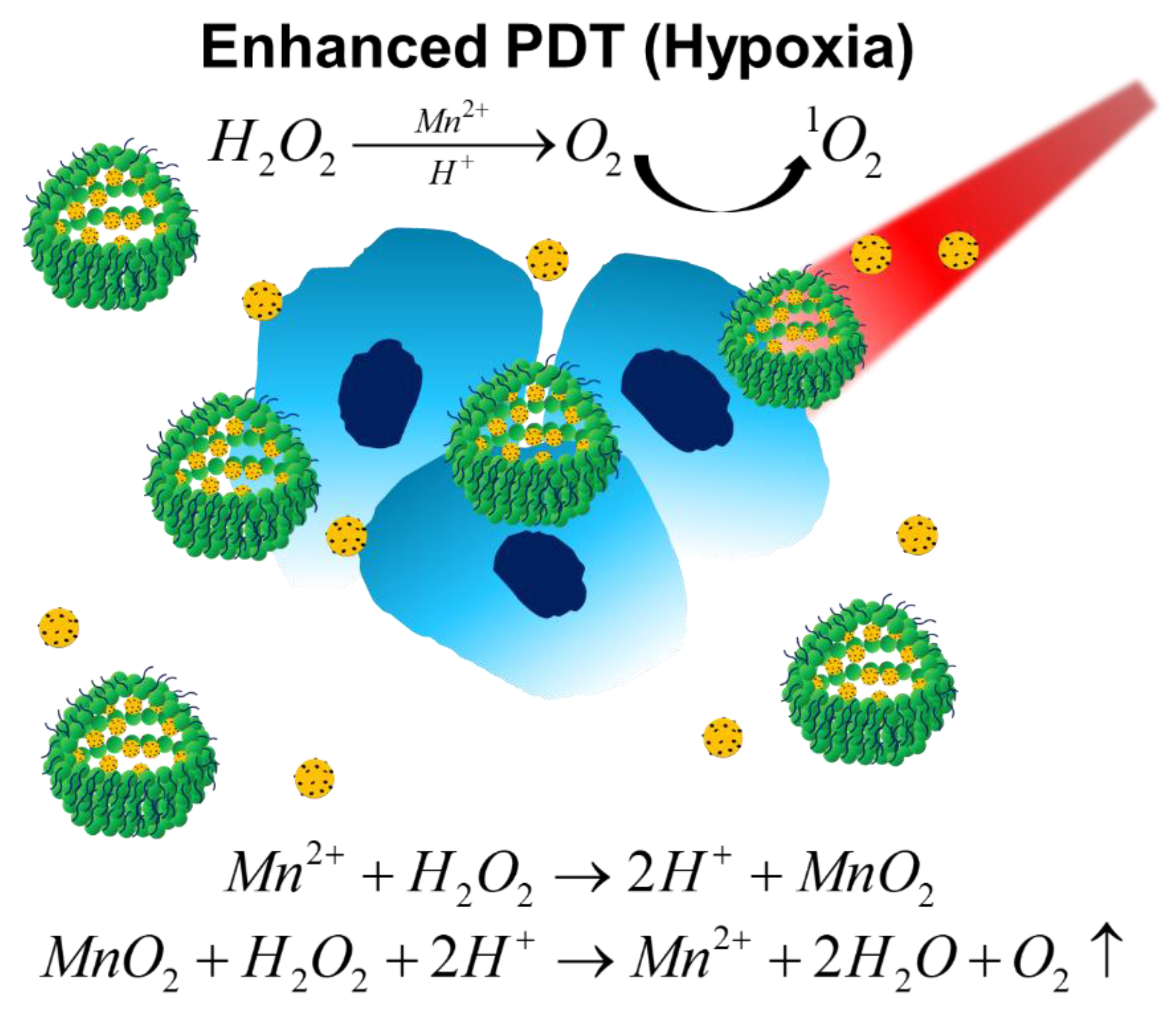 Biomedicines 09 00137 g003