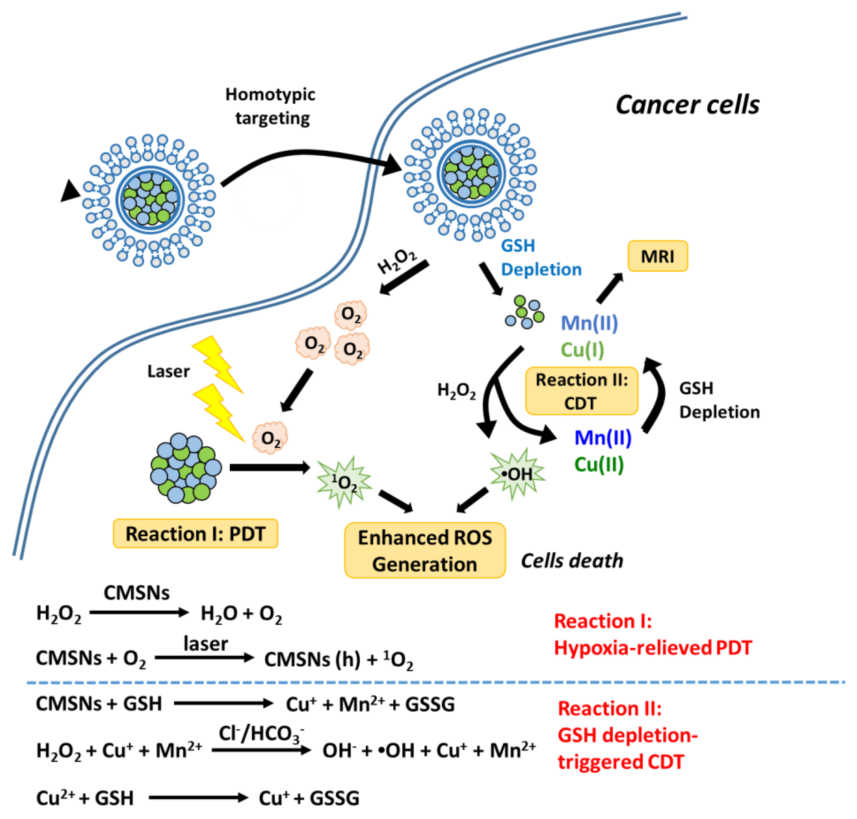 Biomedicines 09 00137 g005