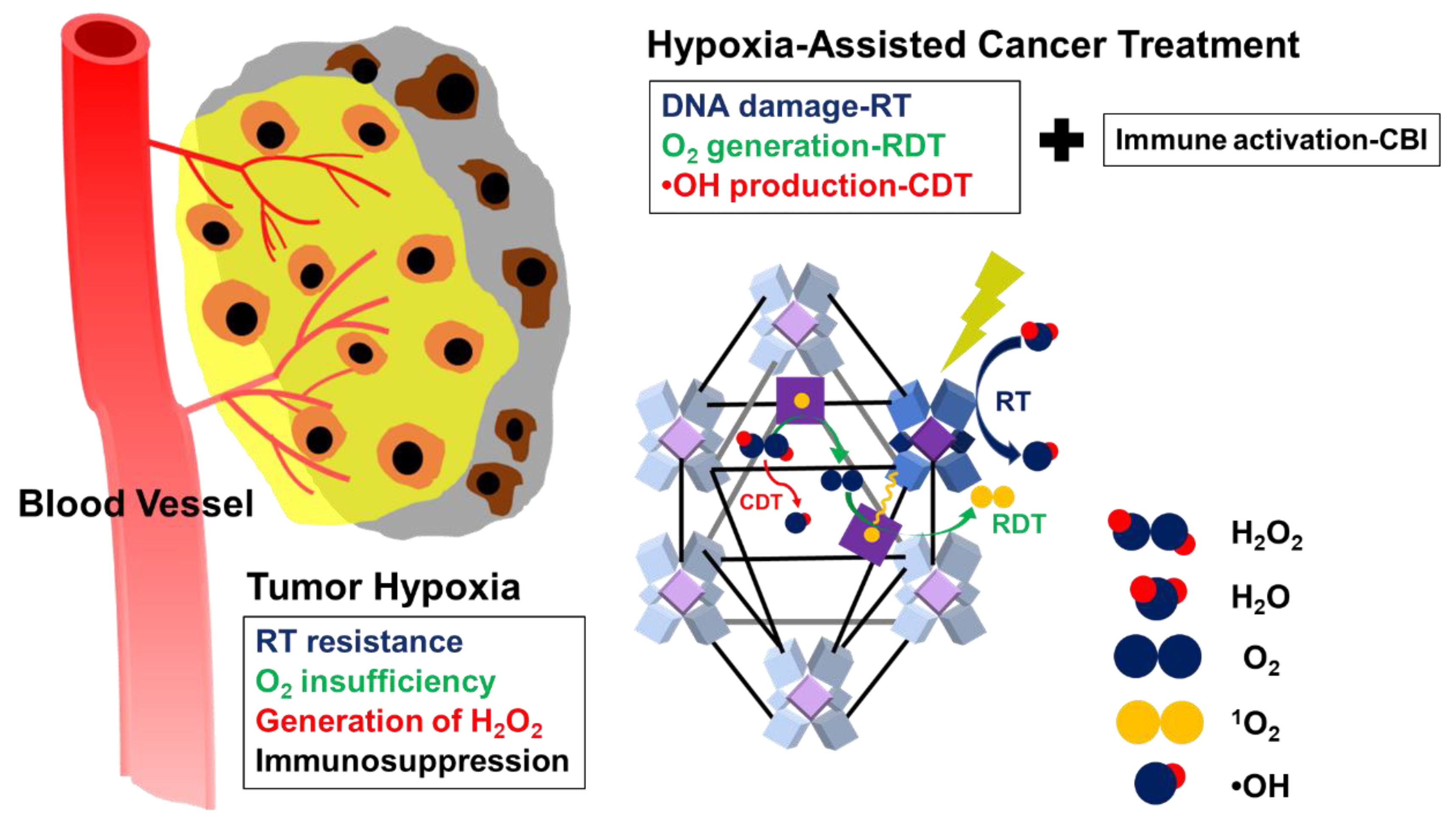 Biomedicines 09 00137 g006