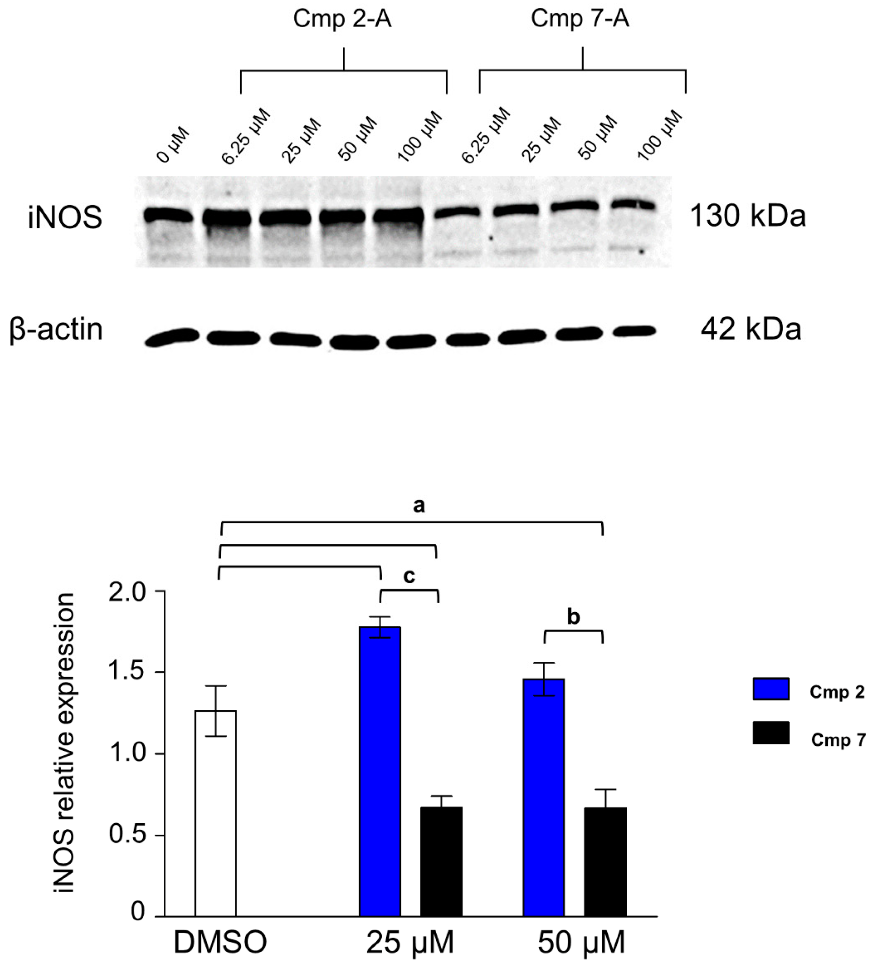 Biomedicines 09 00141 g008