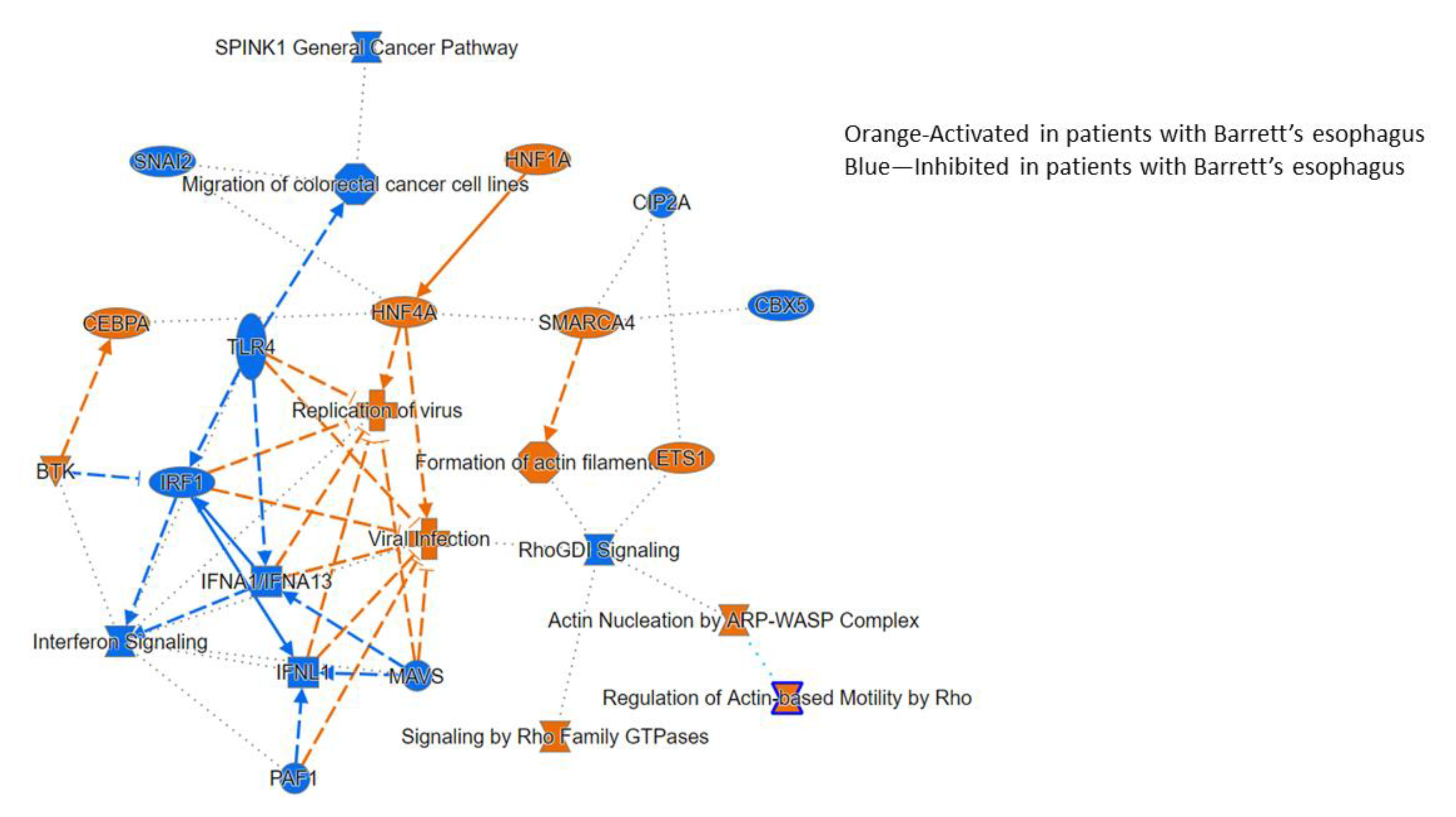 Biomedicines 09 00142 g006 Biomedicines 09 00142 g006