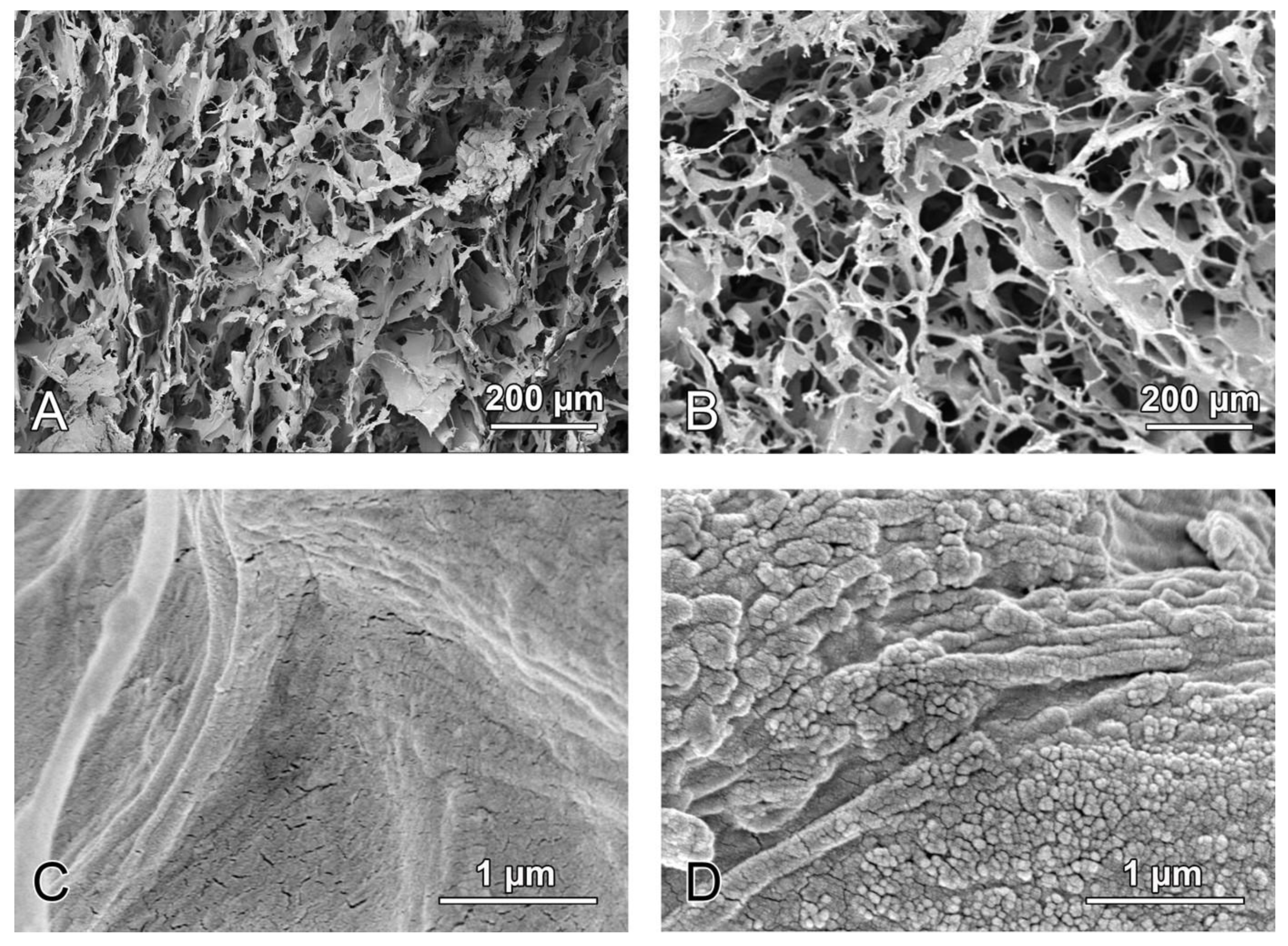 Biomedicines 09 00143 g001