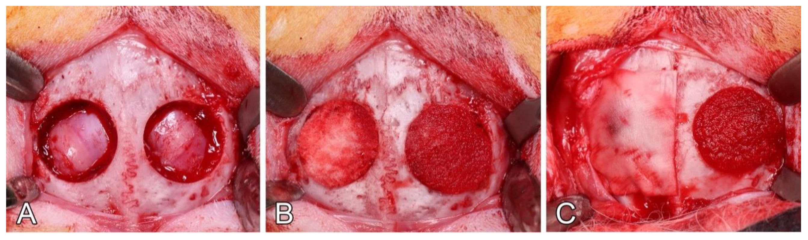 Biomedicines 09 00143 g003