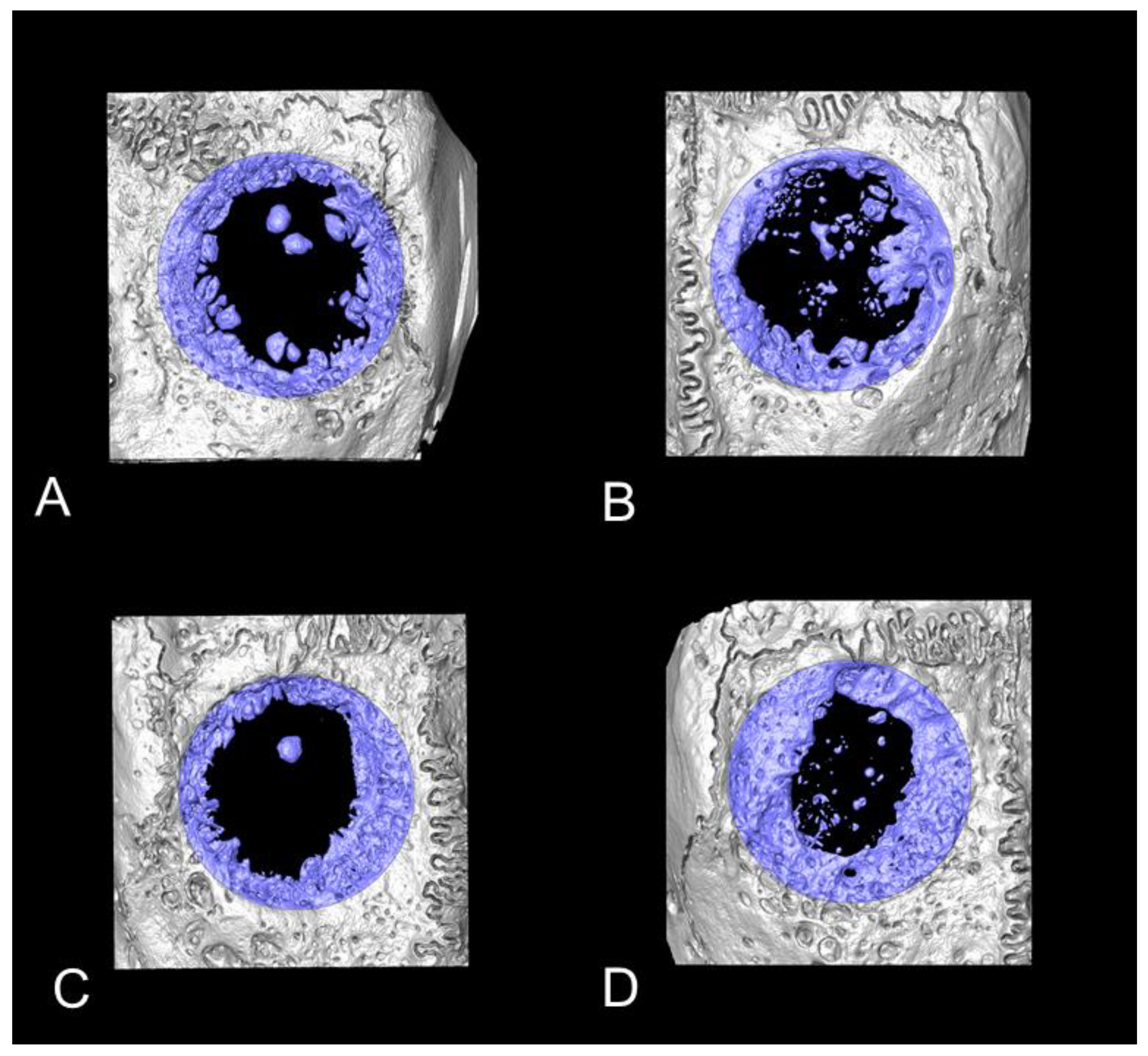 Biomedicines 09 00143 g004