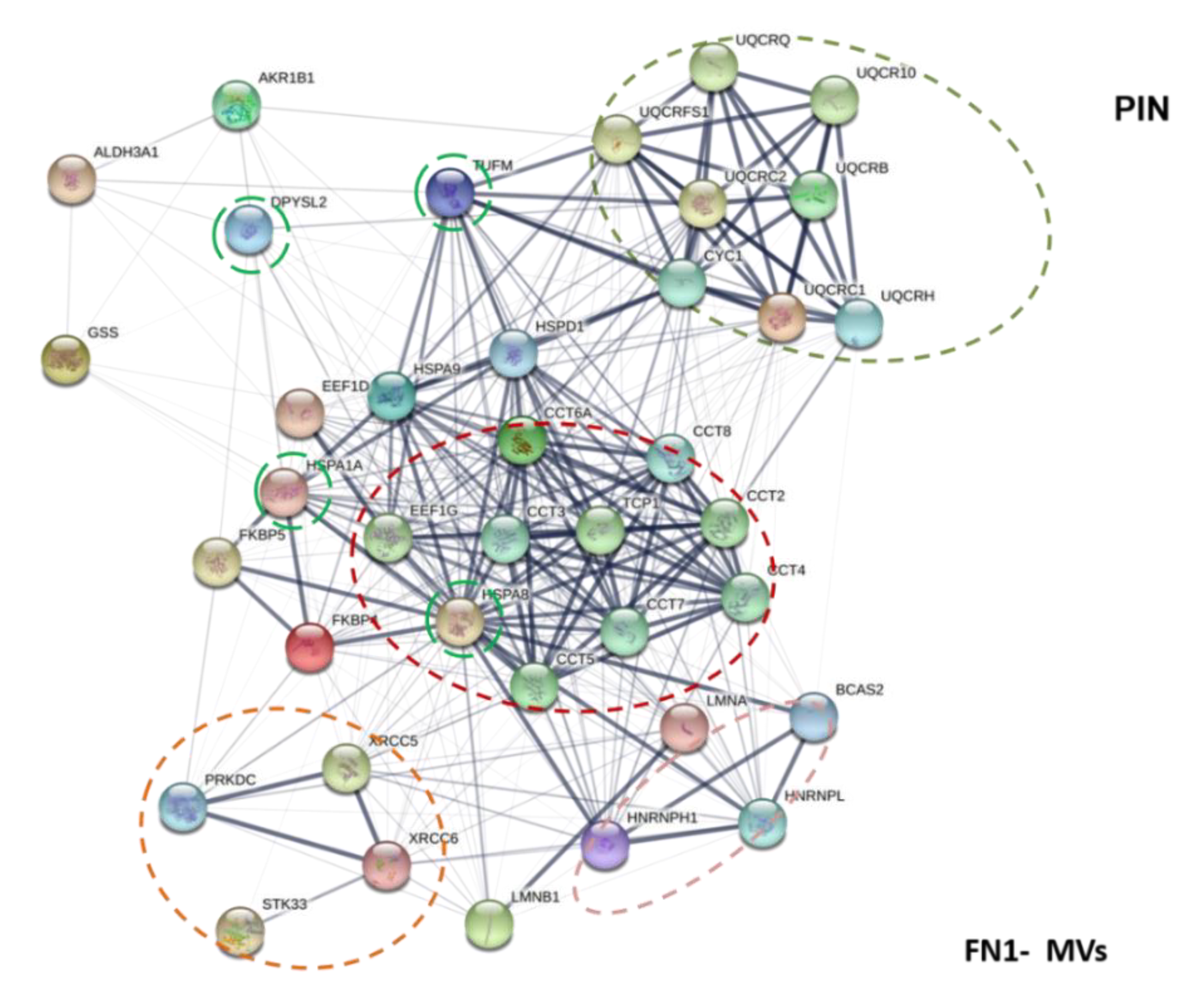 Biomedicines 09 00146 g007