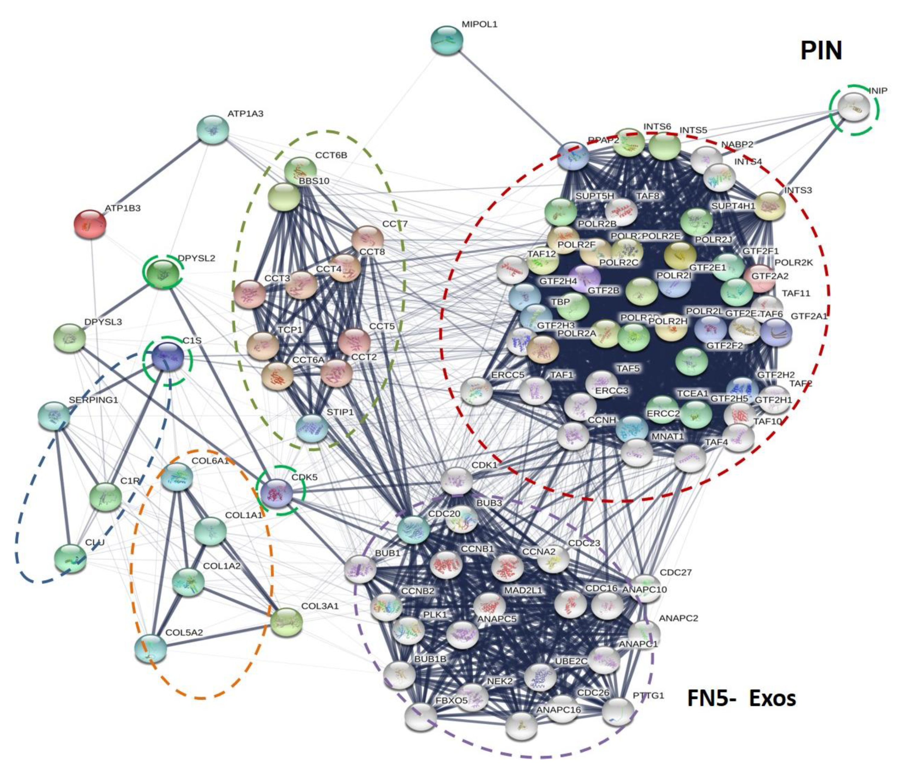 Biomedicines 09 00146 g008