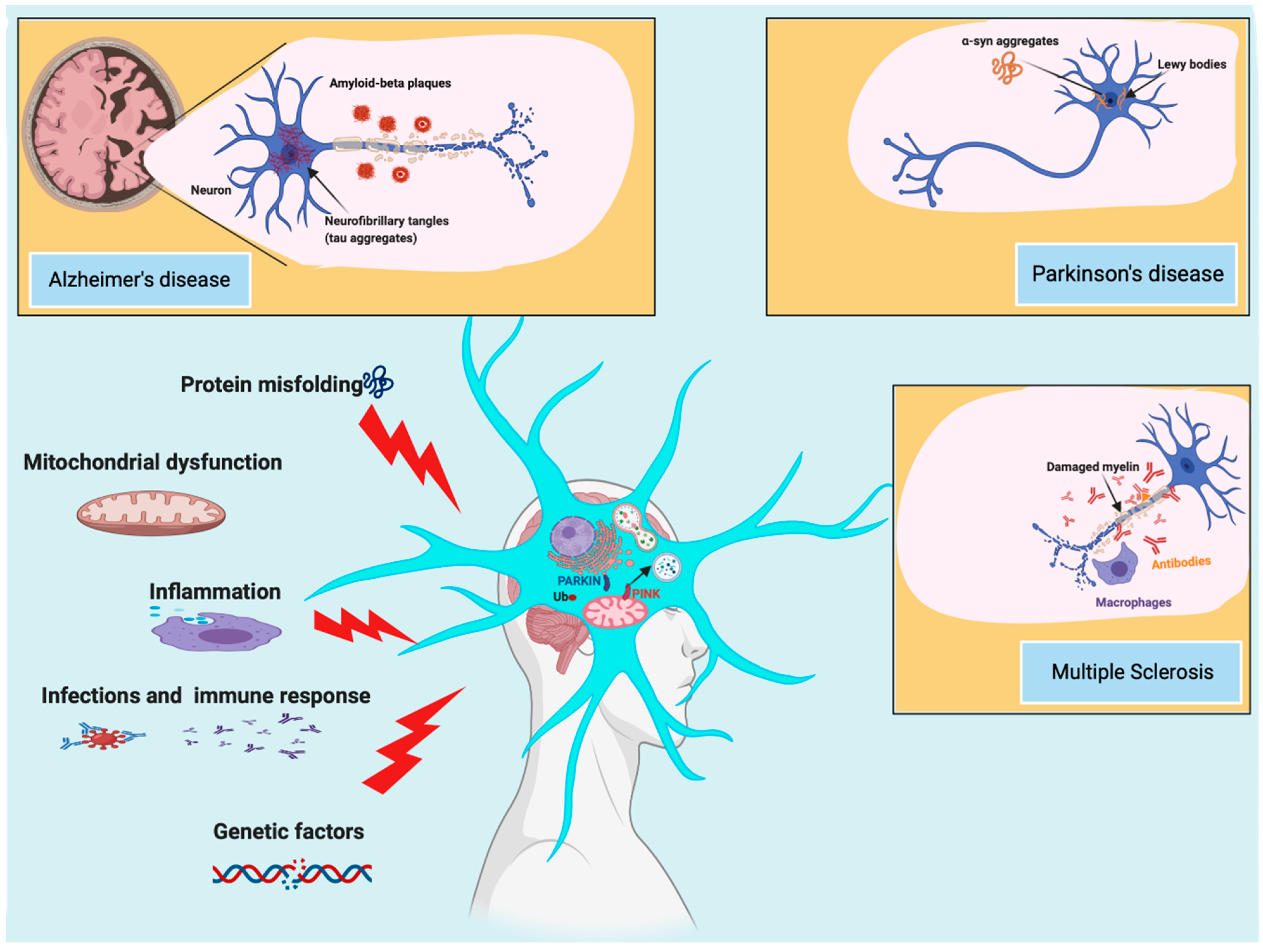 Biomedicines 09 00149 g001 Biomedicines 09 00149 g001