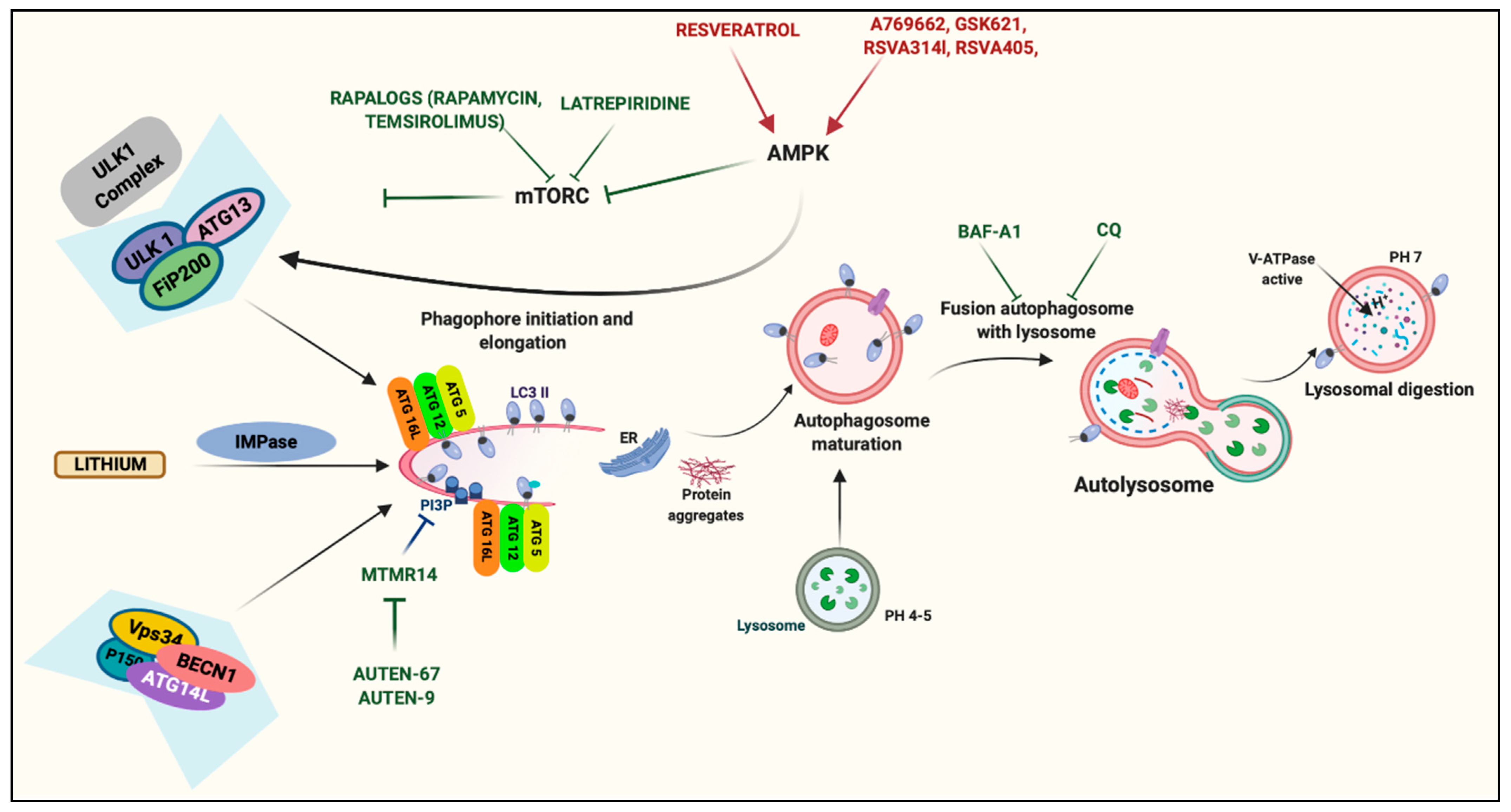 Biomedicines 09 00149 g003 Biomedicines 09 00149 g003