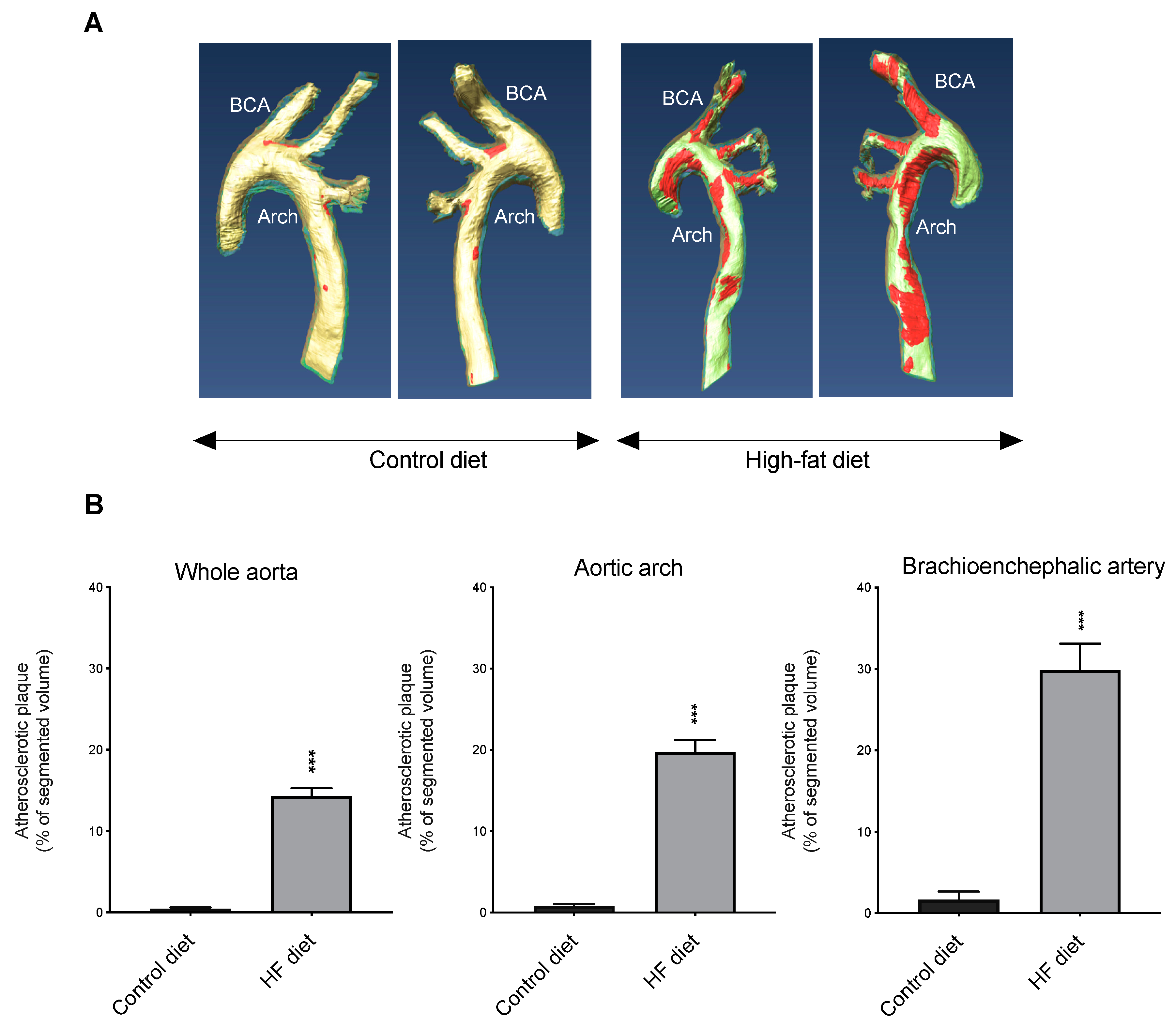 Biomedicines 09 00150 g005