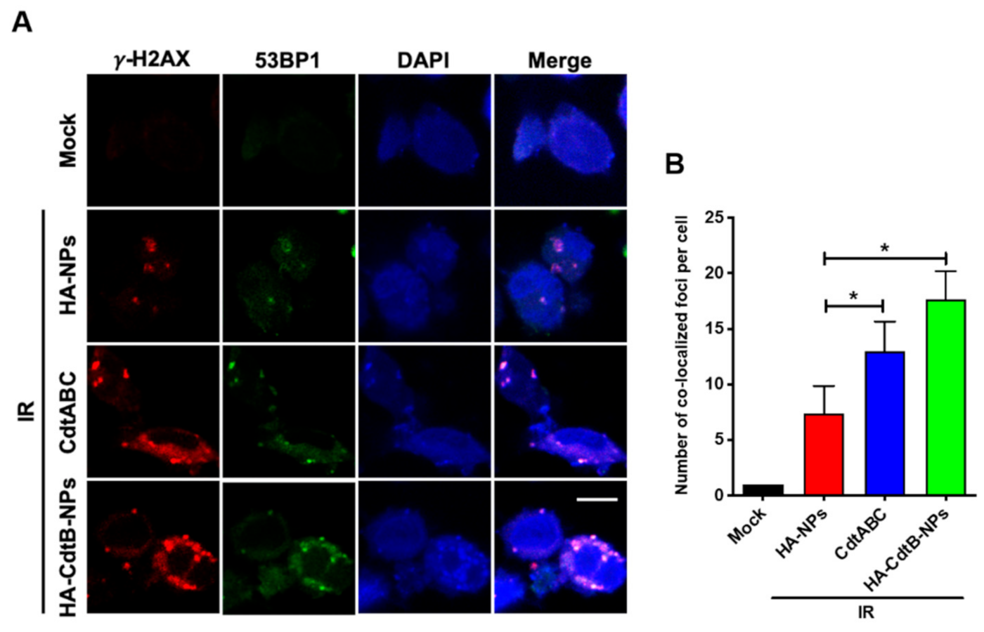 Biomedicines 09 00151 g005
