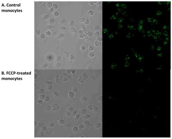 Biomedicines 09 00153 g0a1
