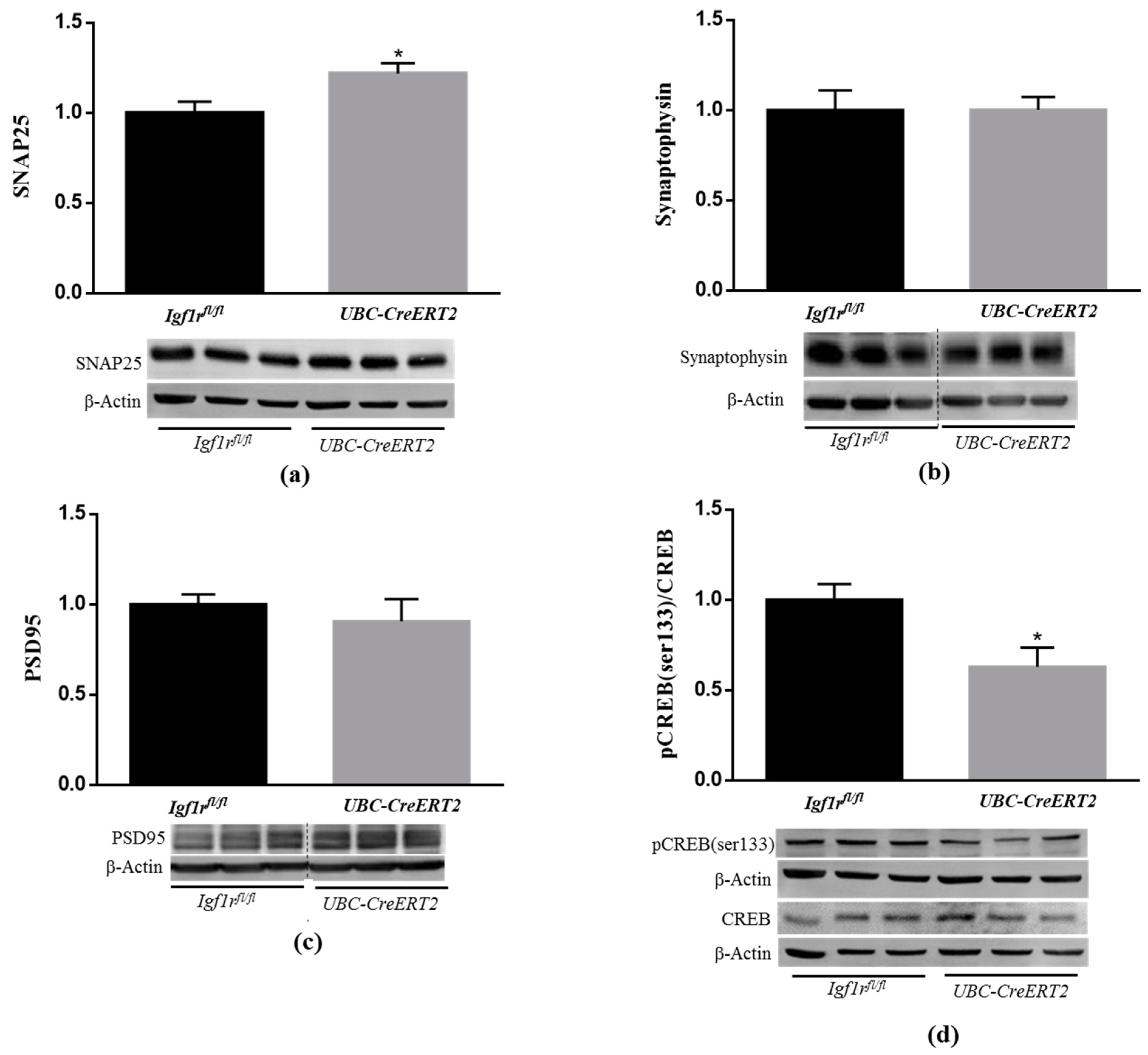 Biomedicines 09 00158 g004