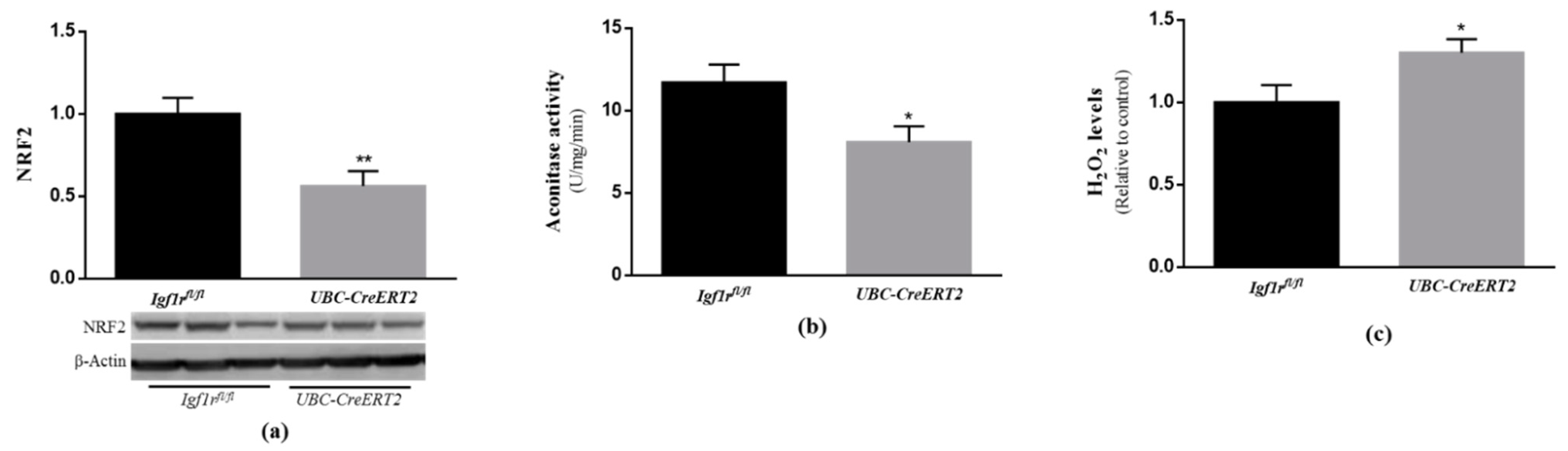 Biomedicines 09 00158 g005