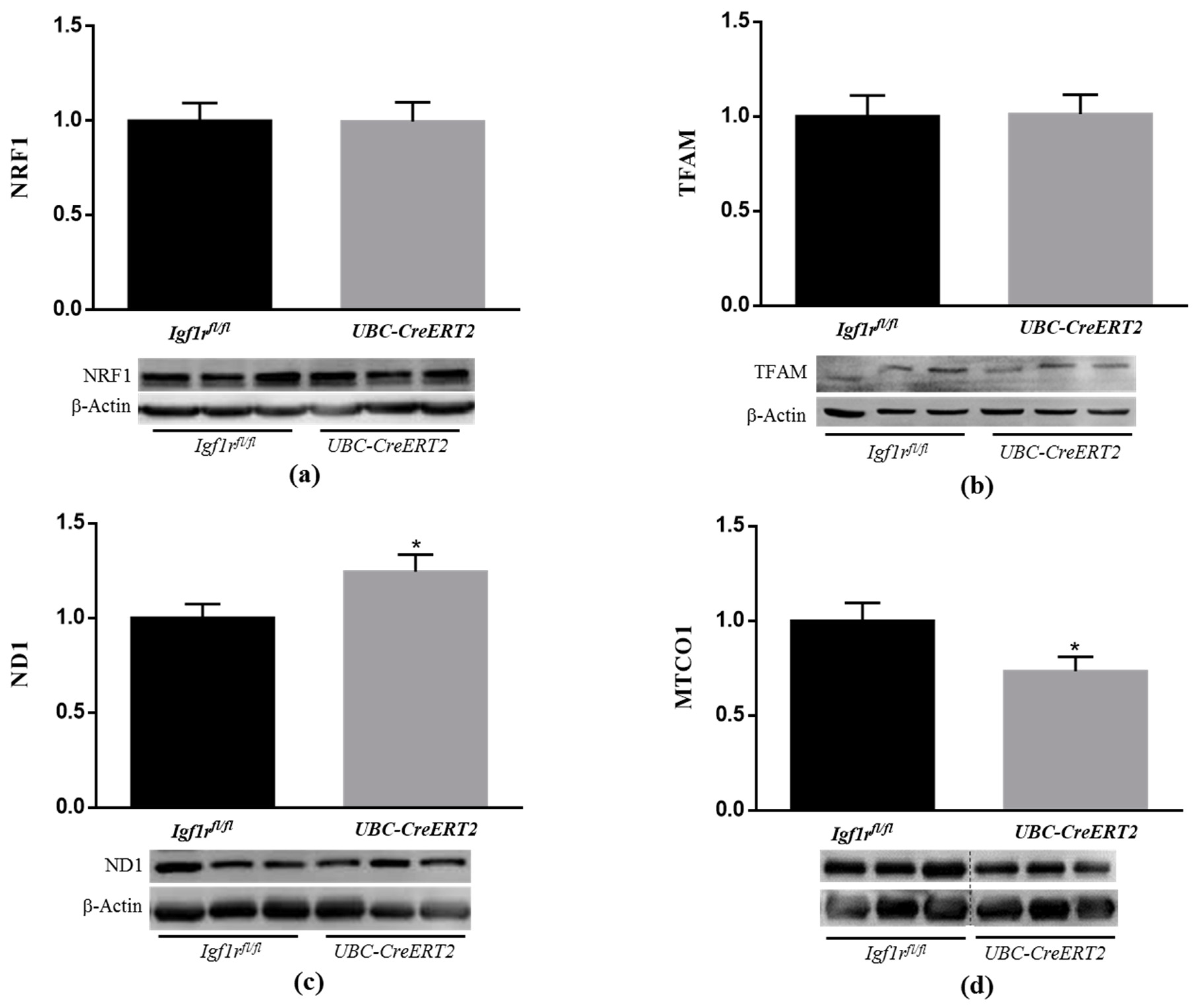Biomedicines 09 00158 g006