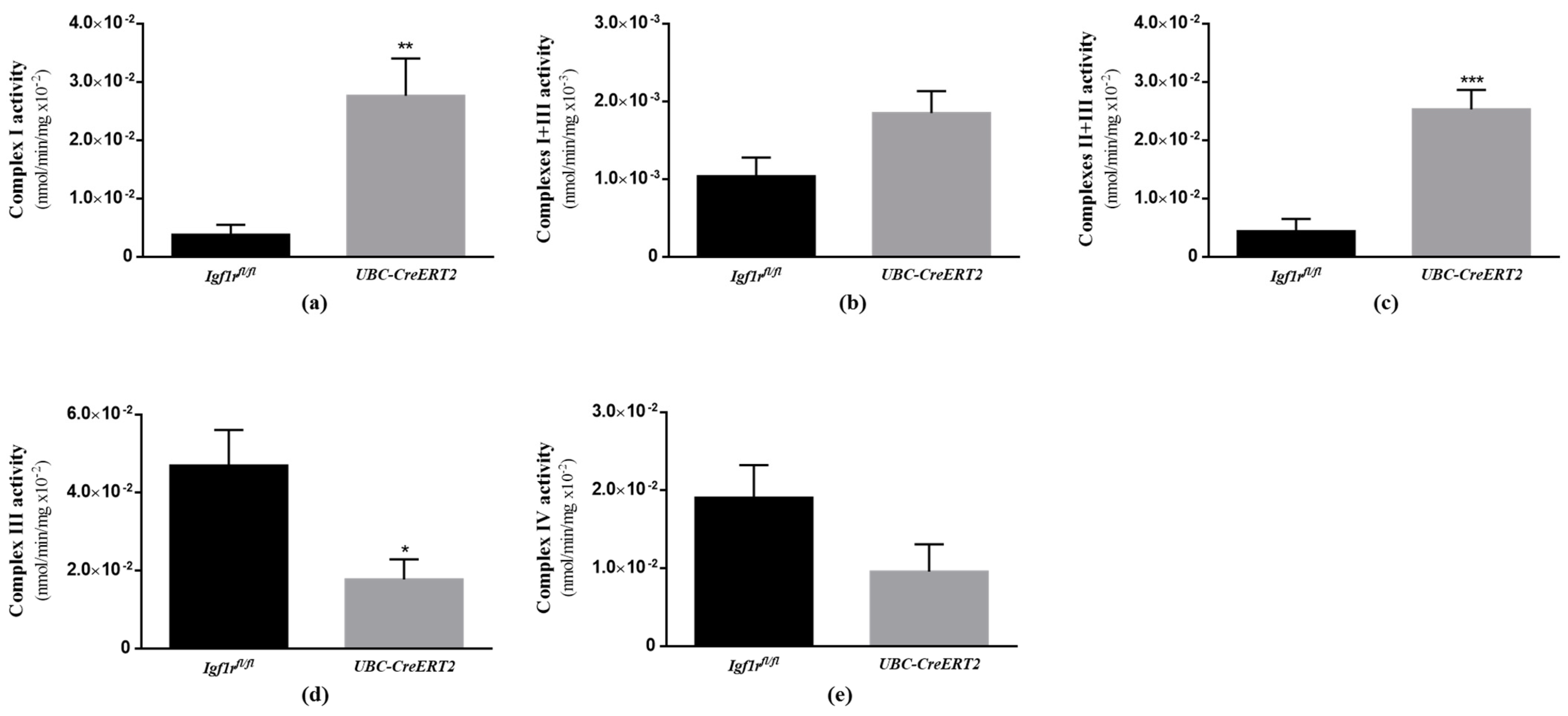 Biomedicines 09 00158 g007