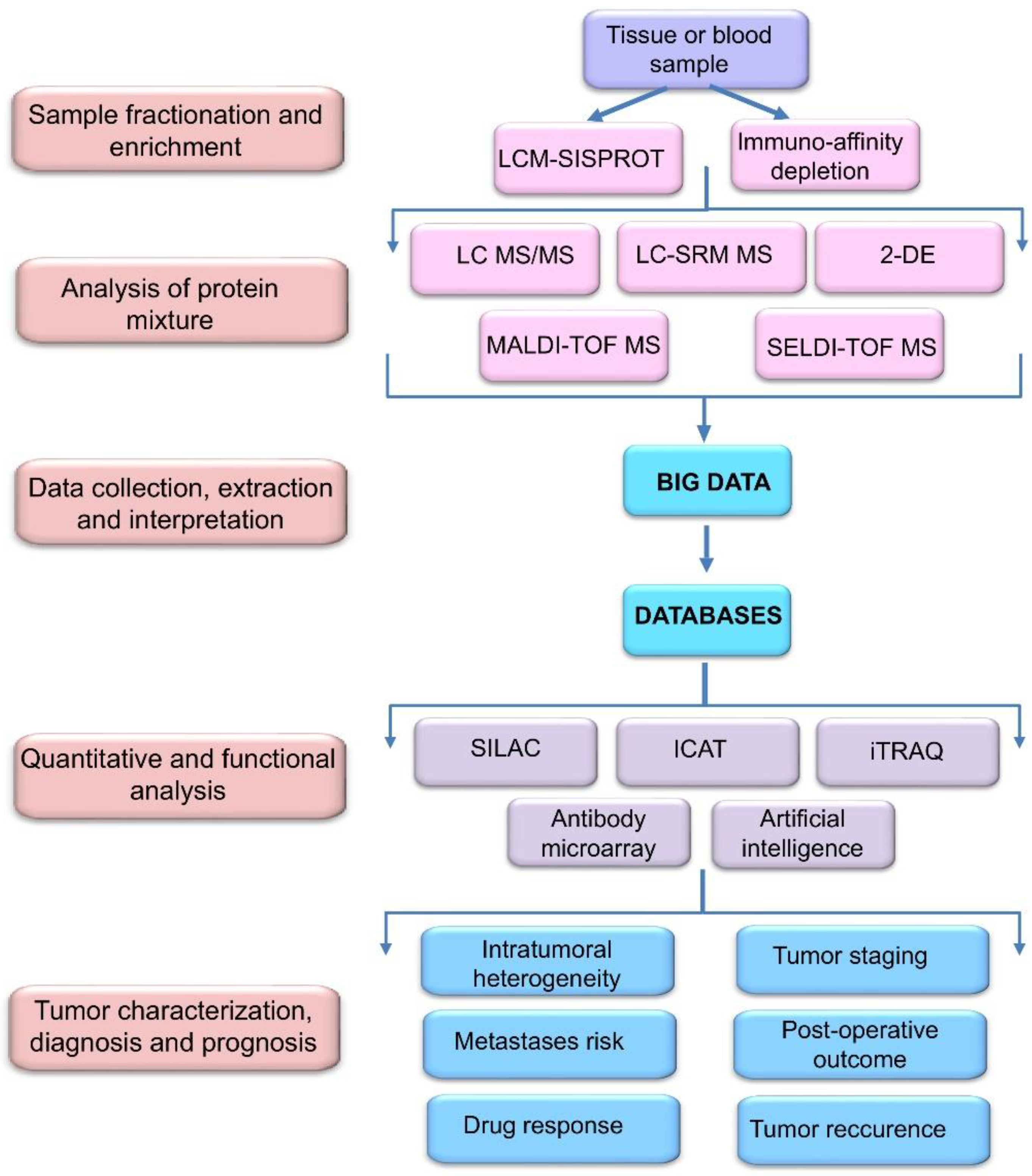 Biomedicines 09 00159 g002