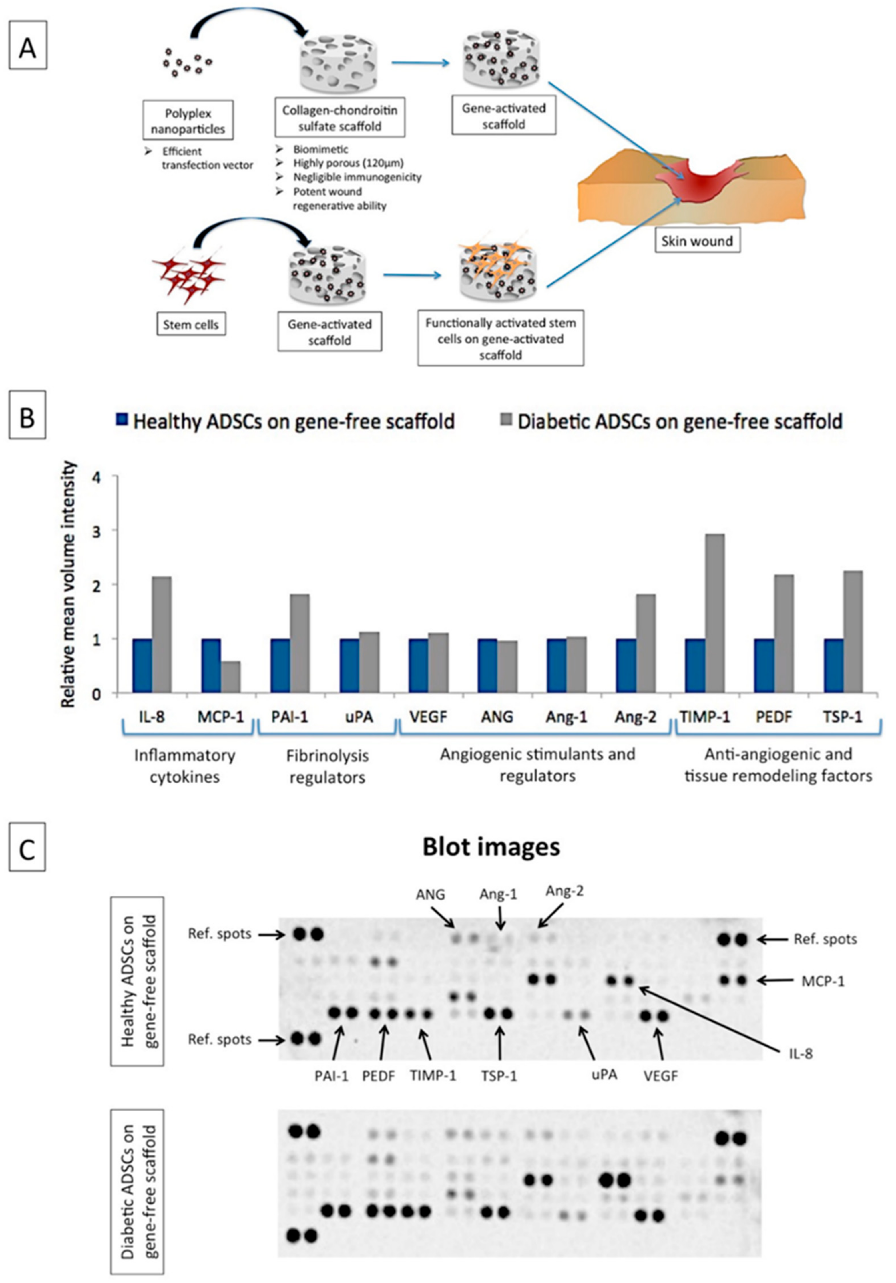 Biomedicines 09 00160 g001