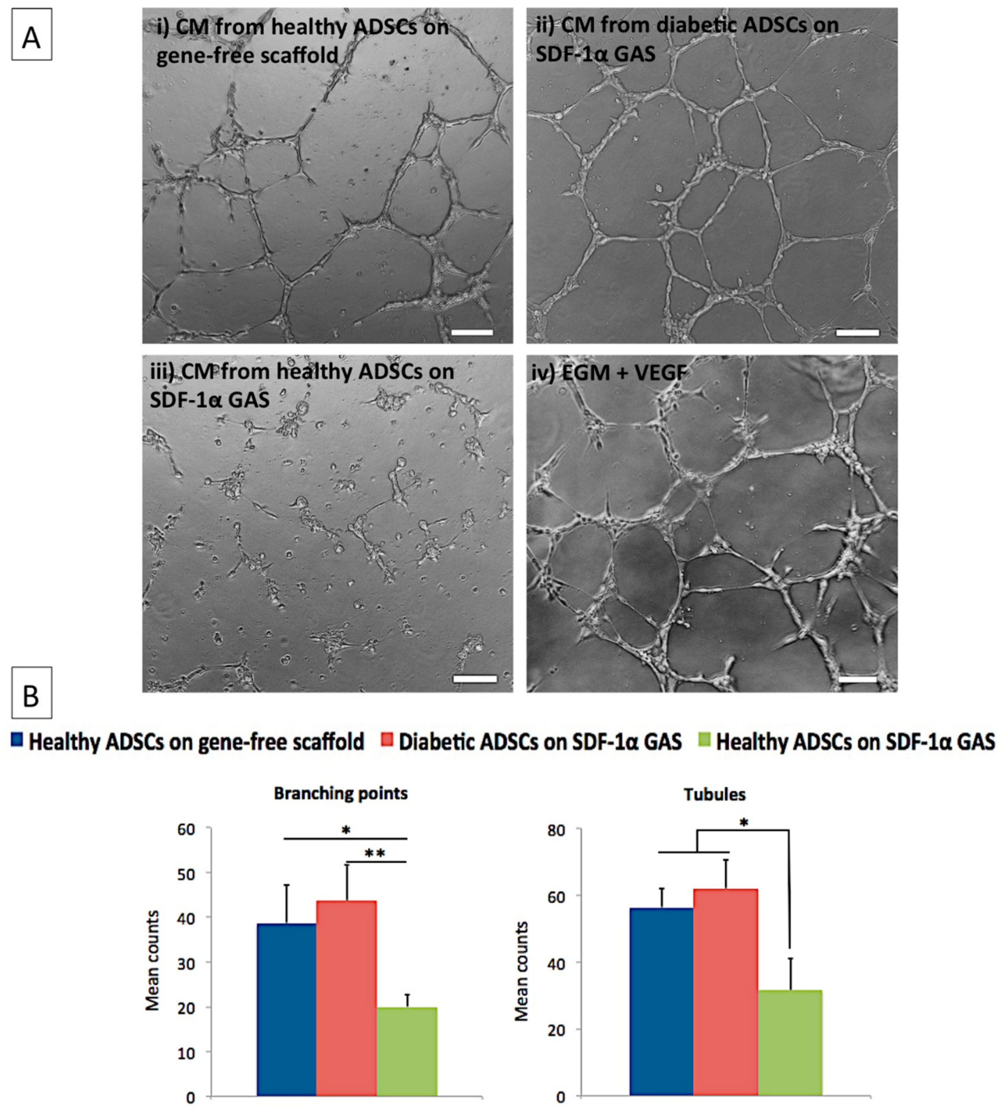 Biomedicines 09 00160 g004