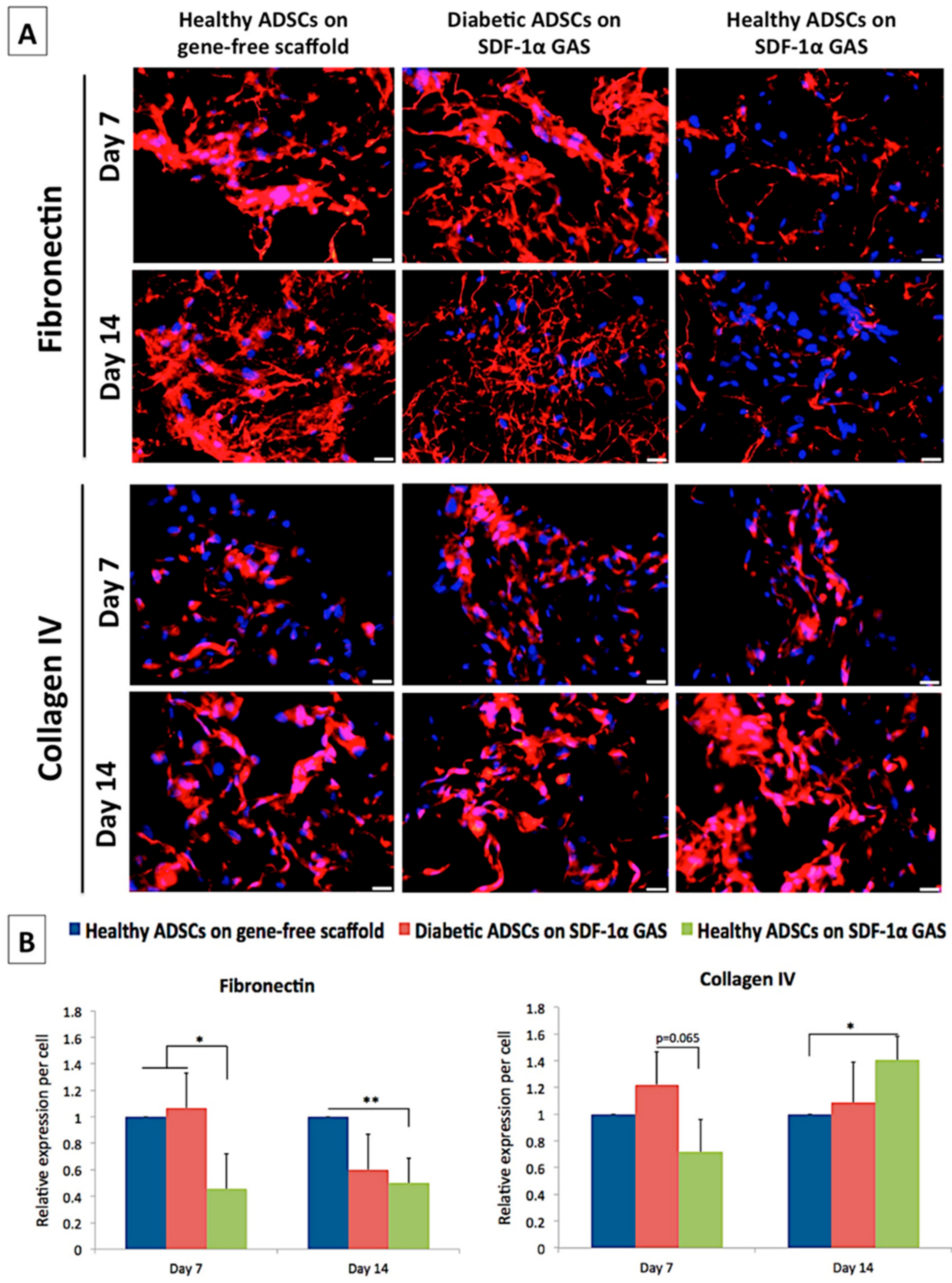 Biomedicines 09 00160 g006