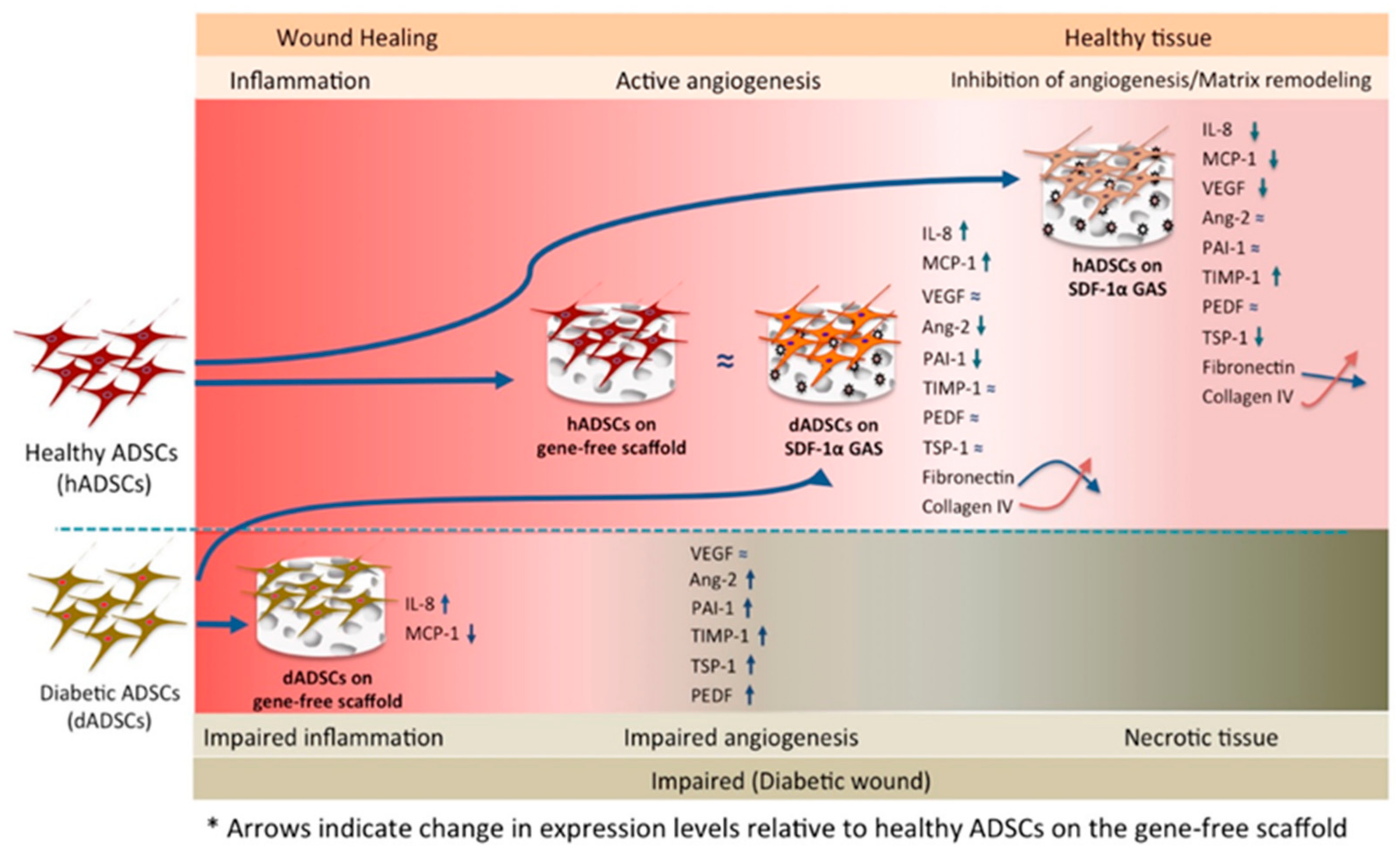 Biomedicines 09 00160 g007