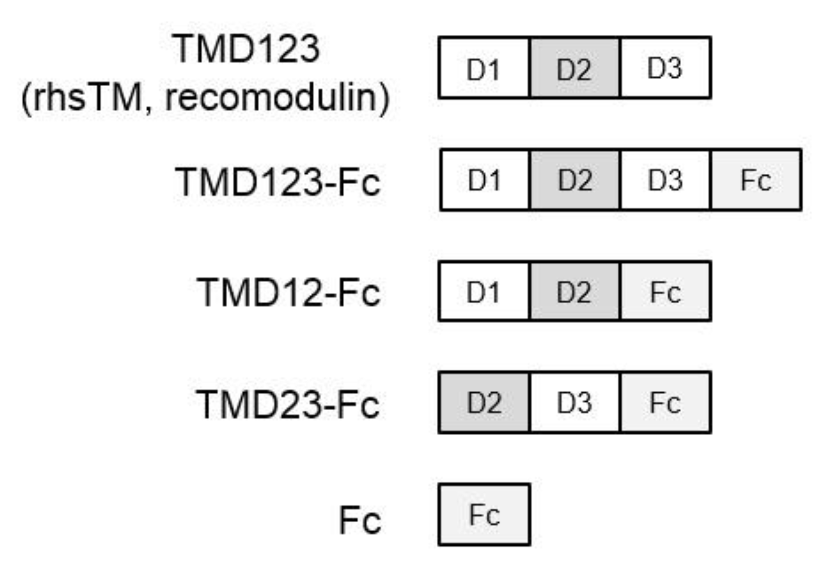 Biomedicines 09 00162 g001