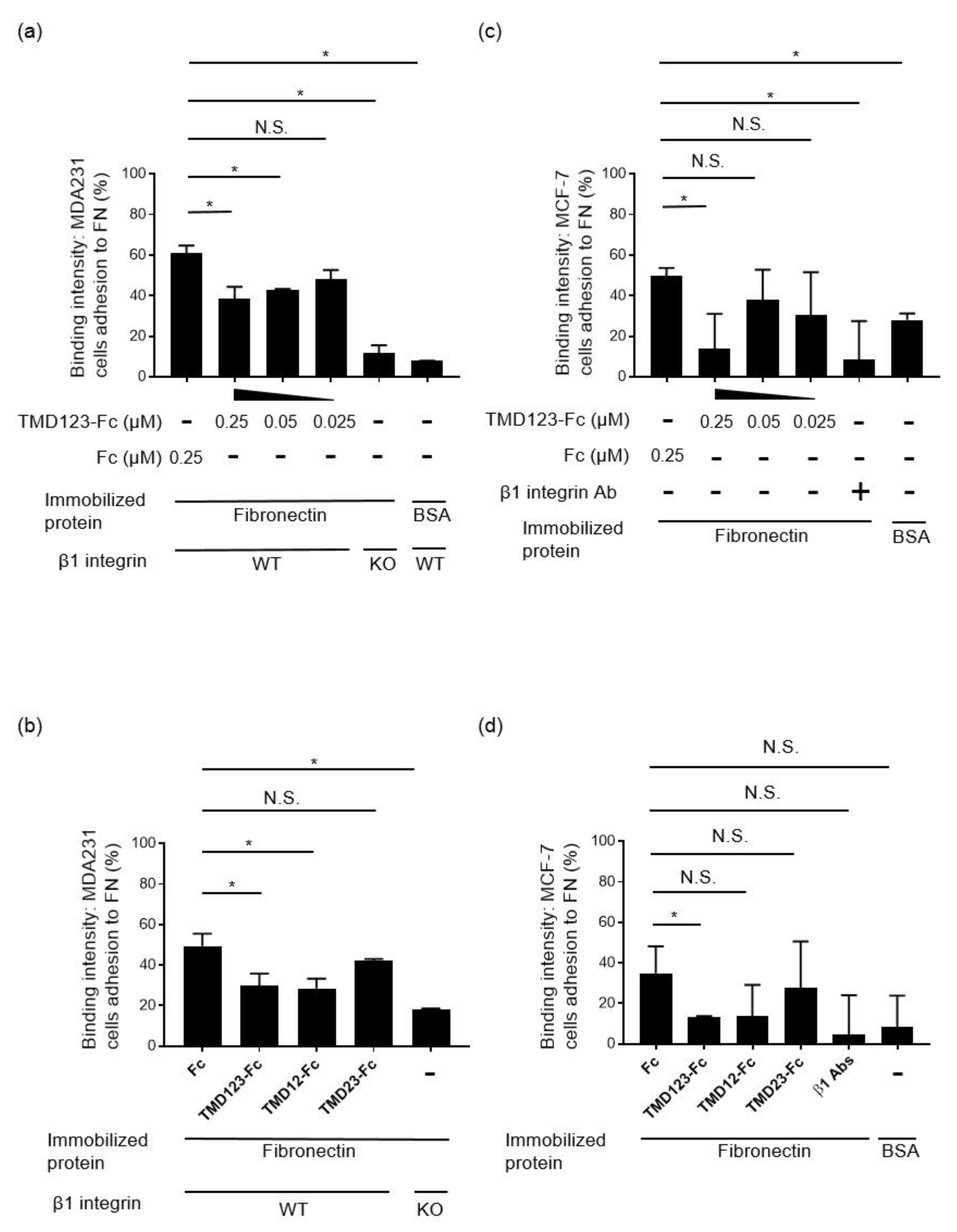 Biomedicines 09 00162 g005