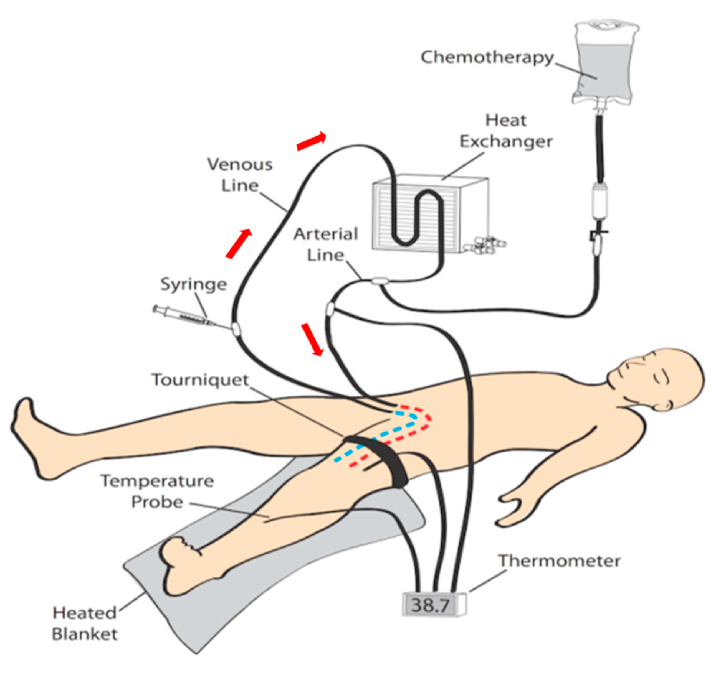 Biomedicines 09 00163 g001