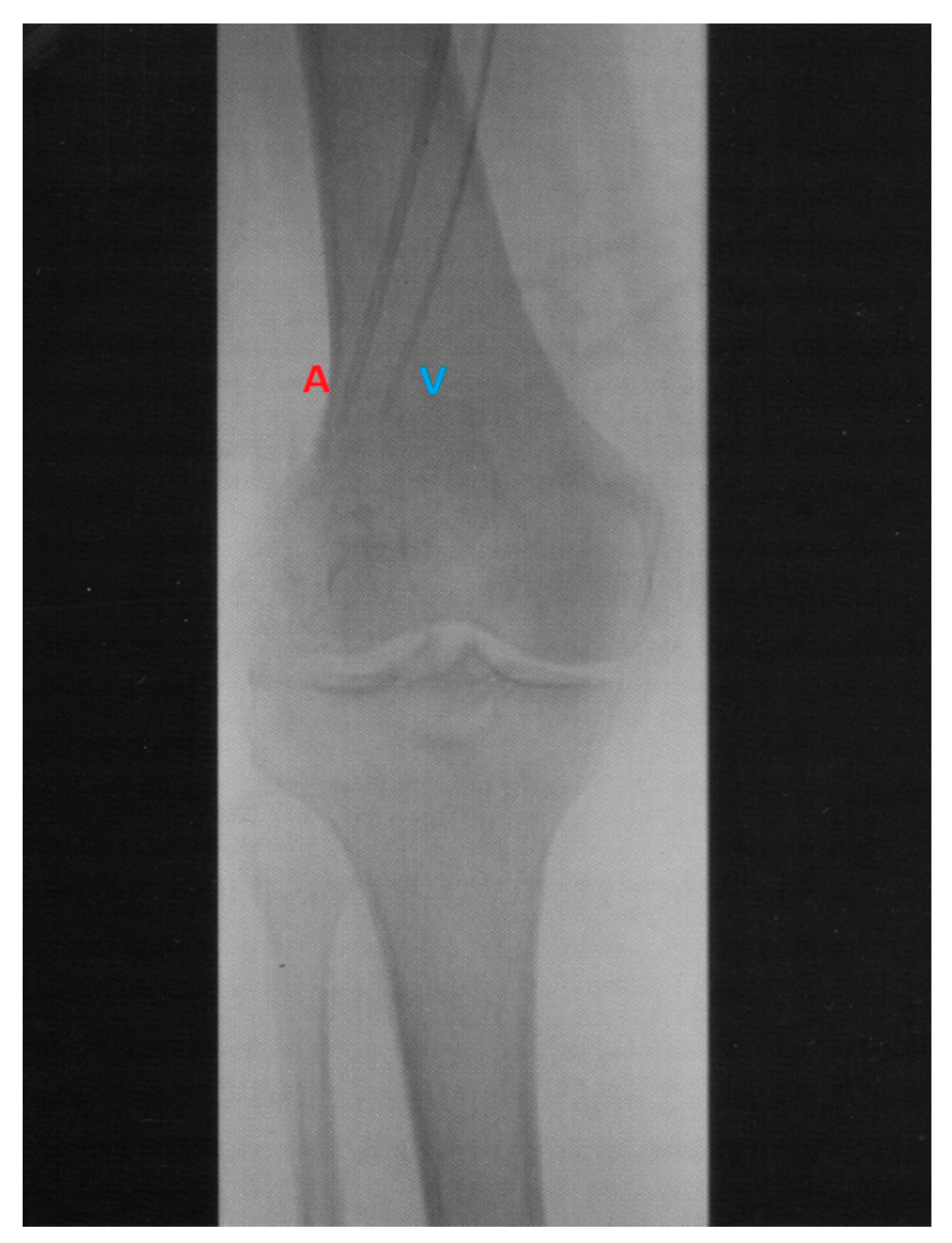 Biomedicines 09 00163 g002